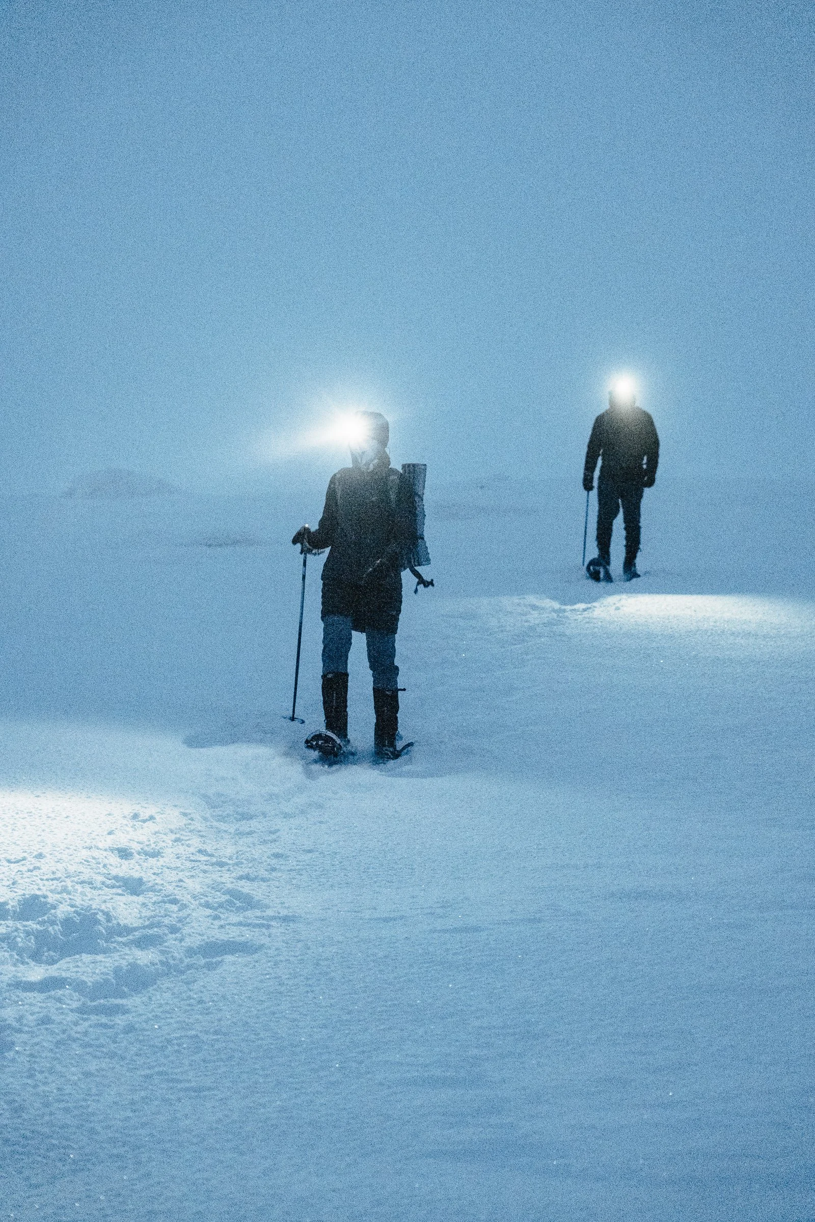 Small group enjoying a guided snowshoe tour in the Norwegian winter night