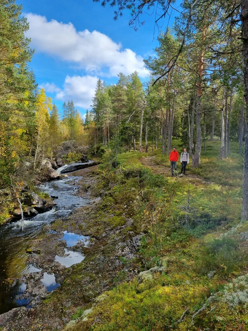 A photo of two people walking on a forest trail leading along a river through a mixed forest.