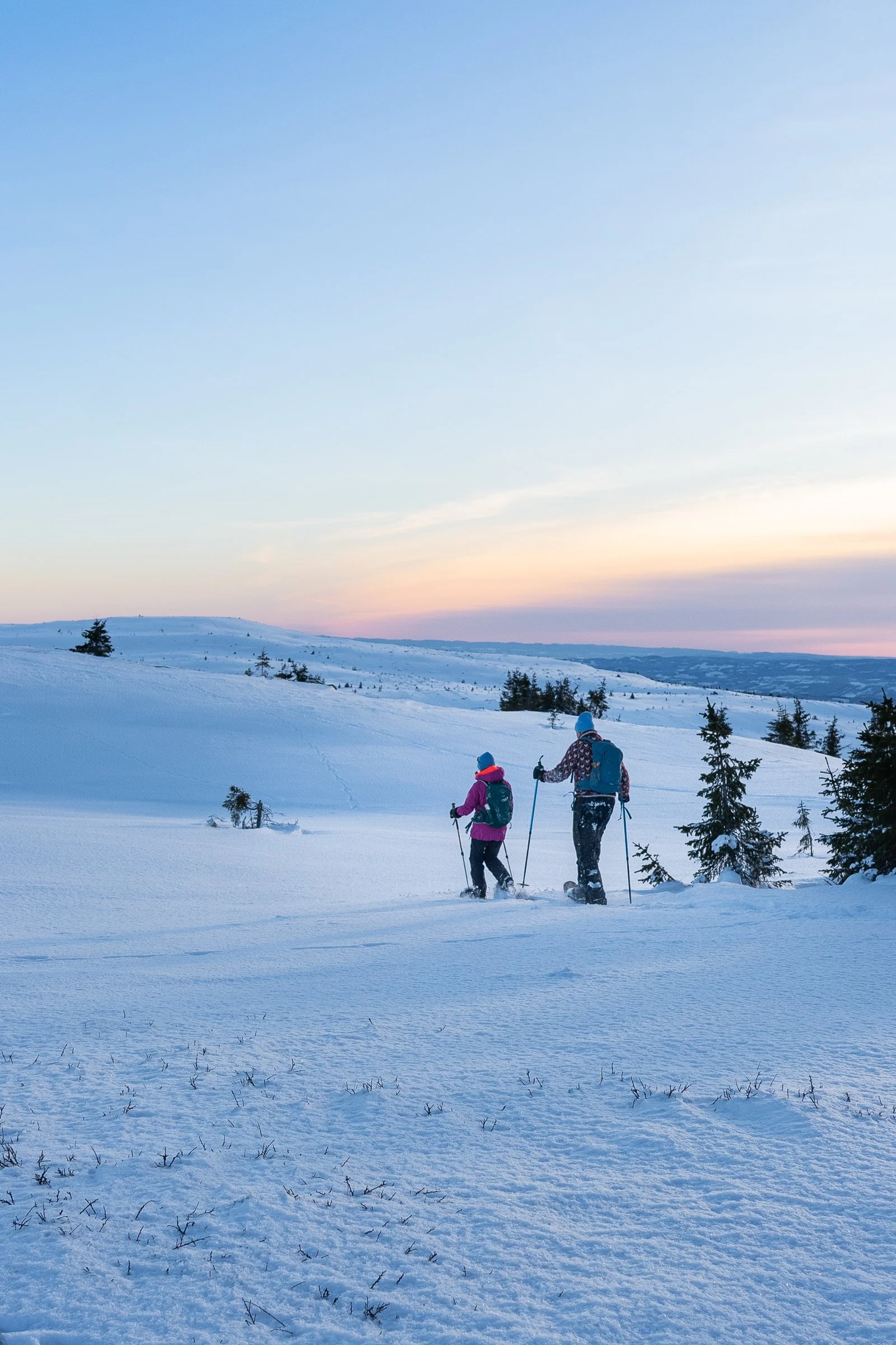 Guided snowshoe hike in winter landscape in Lillehammer