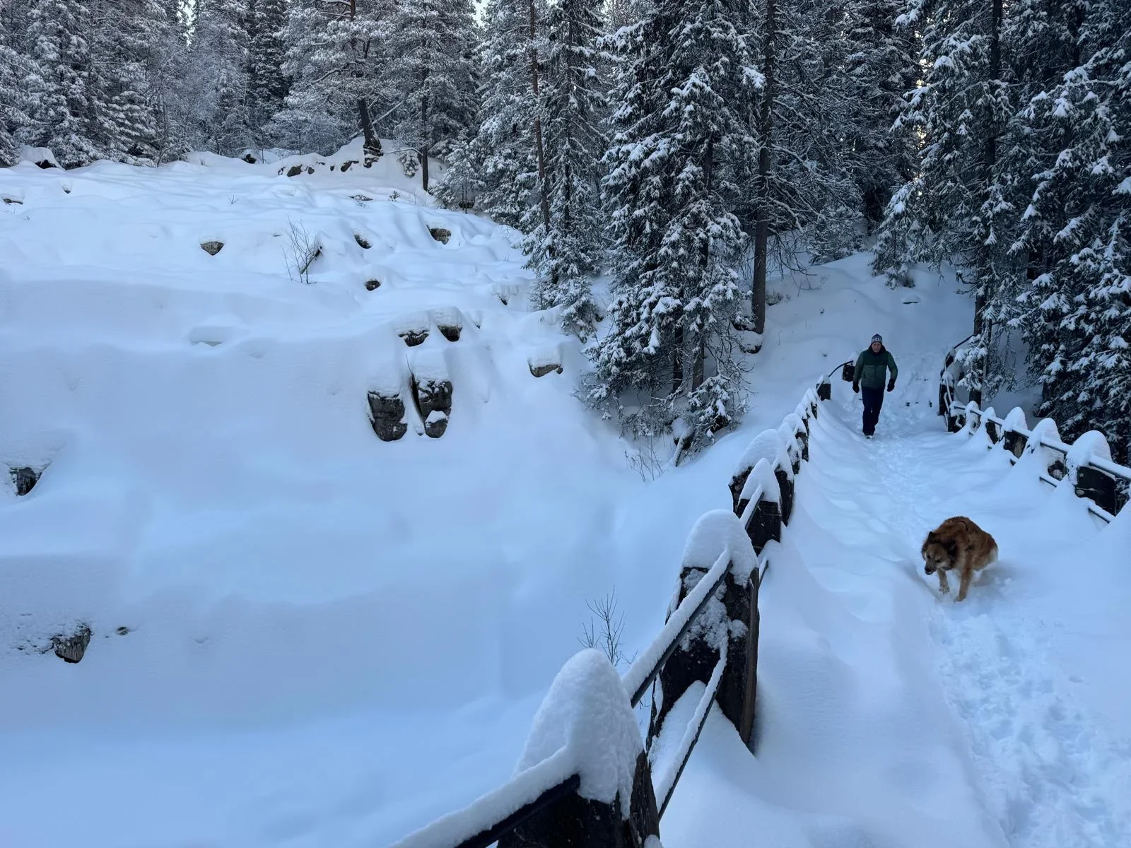 A person and their dog crossing a snow covered bridge in a winter forest