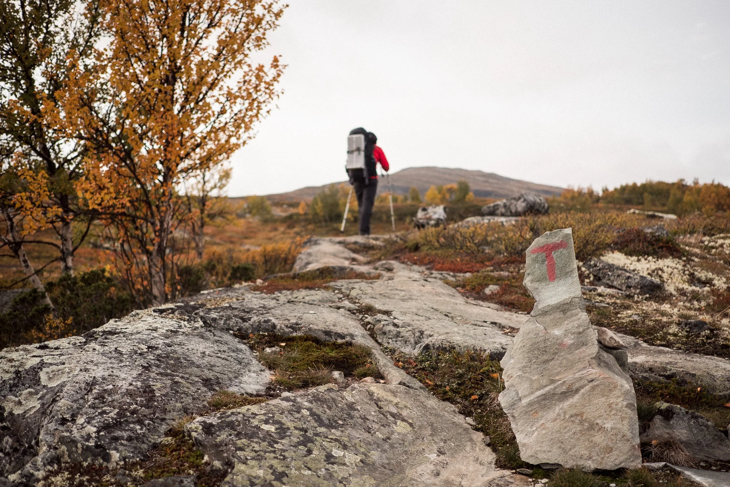 Small group enjoying a guided summer hike near Lillehammer in Norway