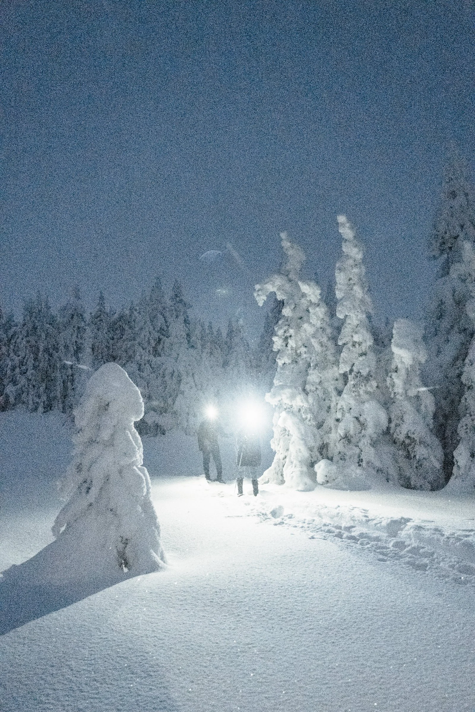 Guided snowshoe hike through the winter landscape using headlamps after dark