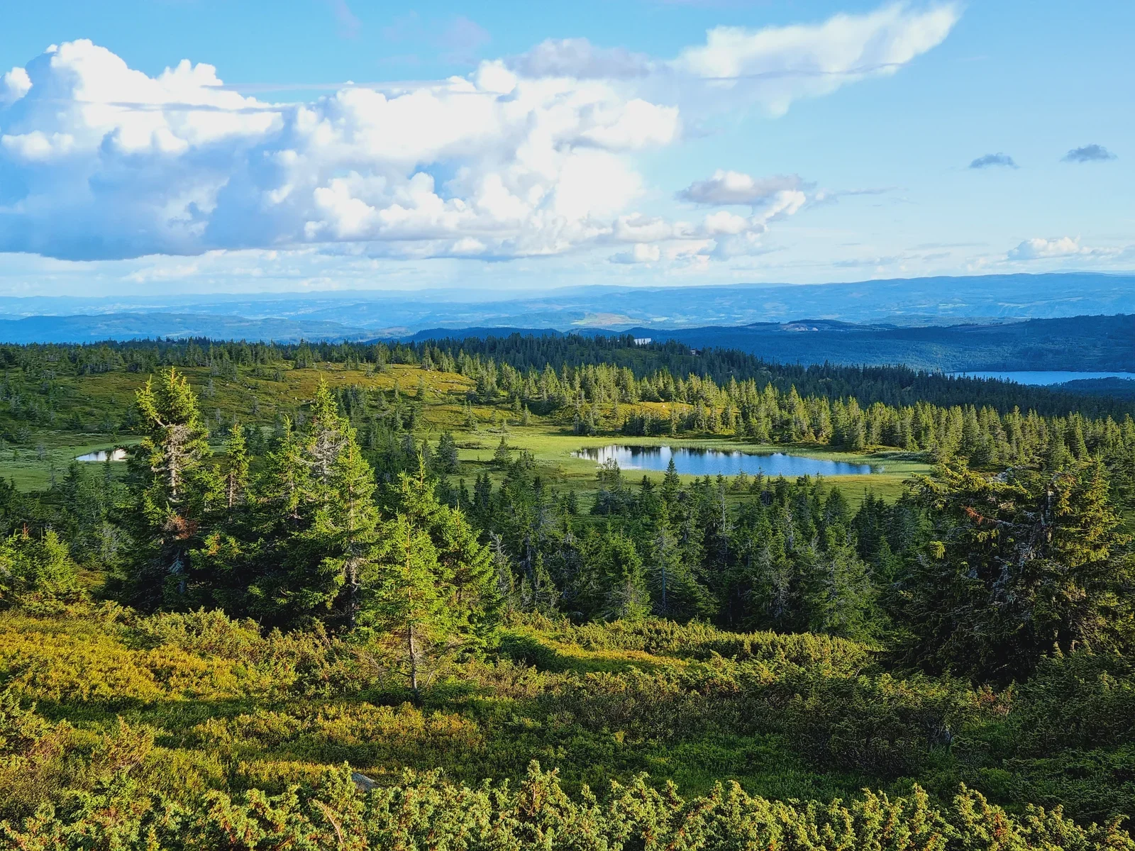 A landscape photo of a hilly landscape with fir trees and a small lake and more hills in the background