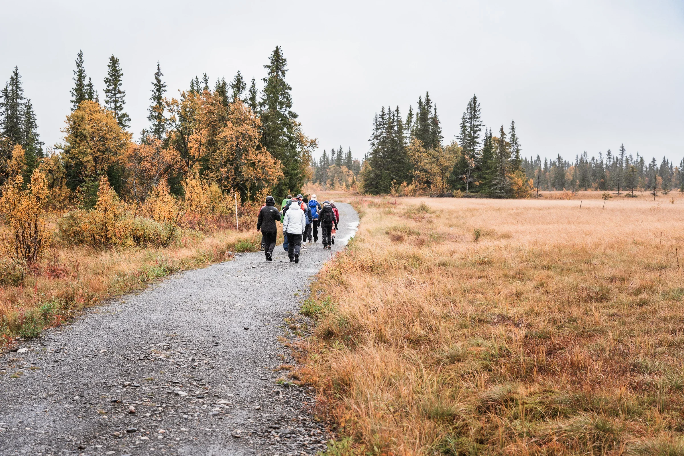 Team development experience in nature near Lillehammer