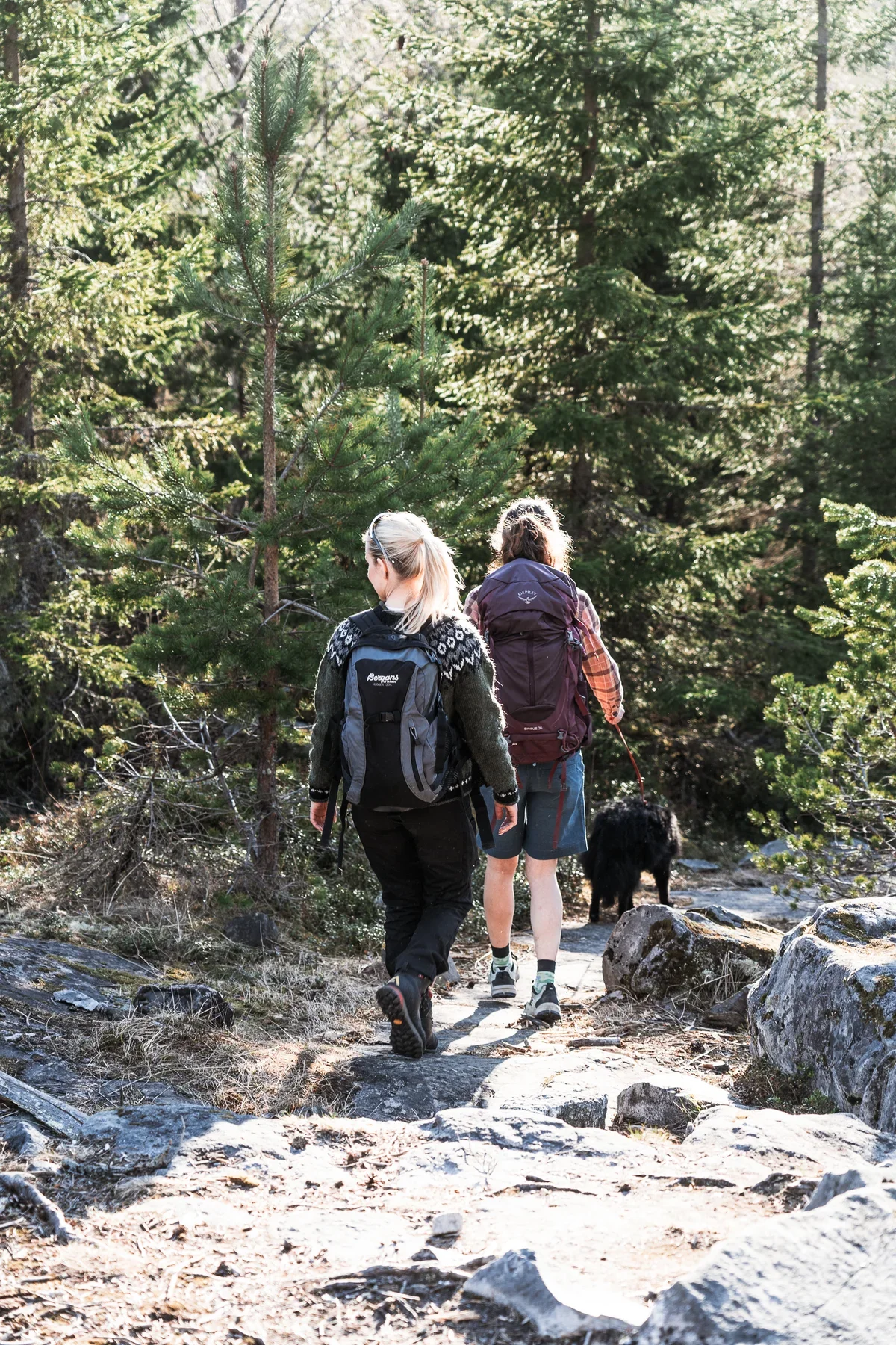 A photo of two women with backpacks and a dog hiking over a rocky trail through a dense forest