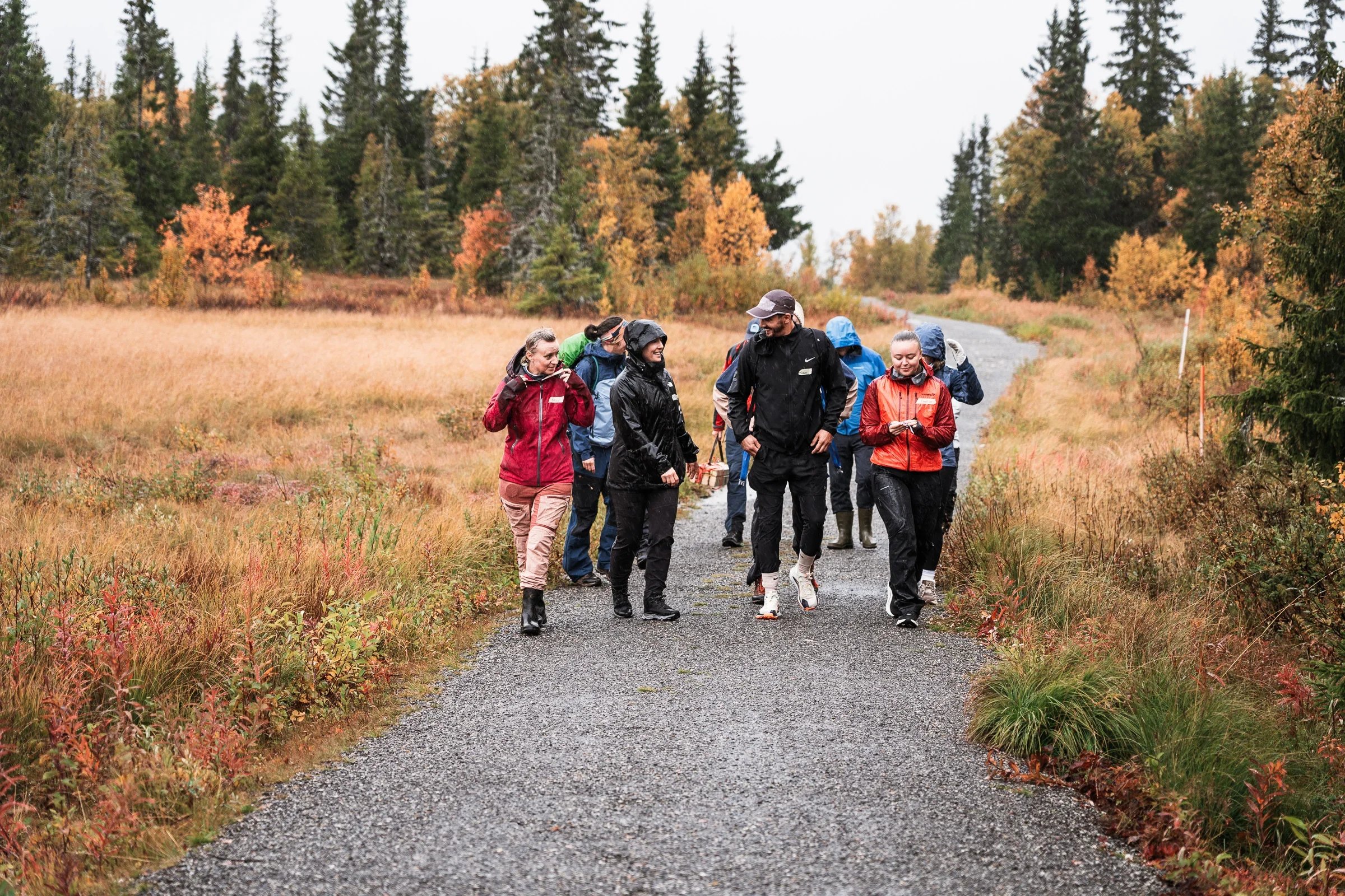 Team development experience outdoors in Norwegian nature