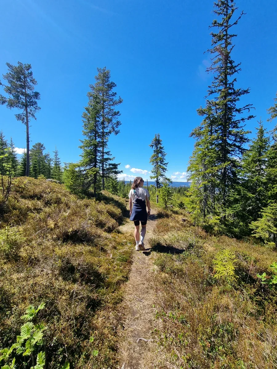 A photo of a woman walking away from a camera down a trail that leads through a grassy landscape with some single trees.