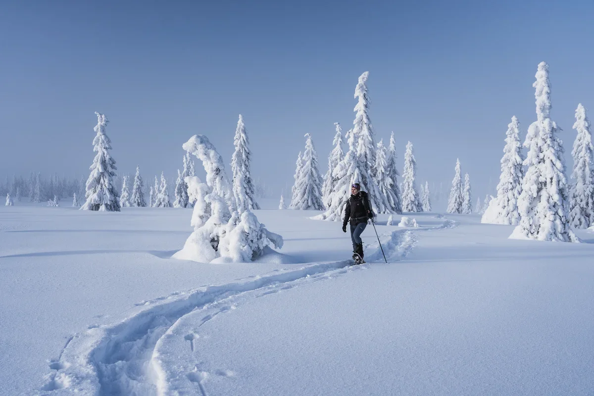 A photo of a woman hiking through a flat snow covered landscape with white fir trees
