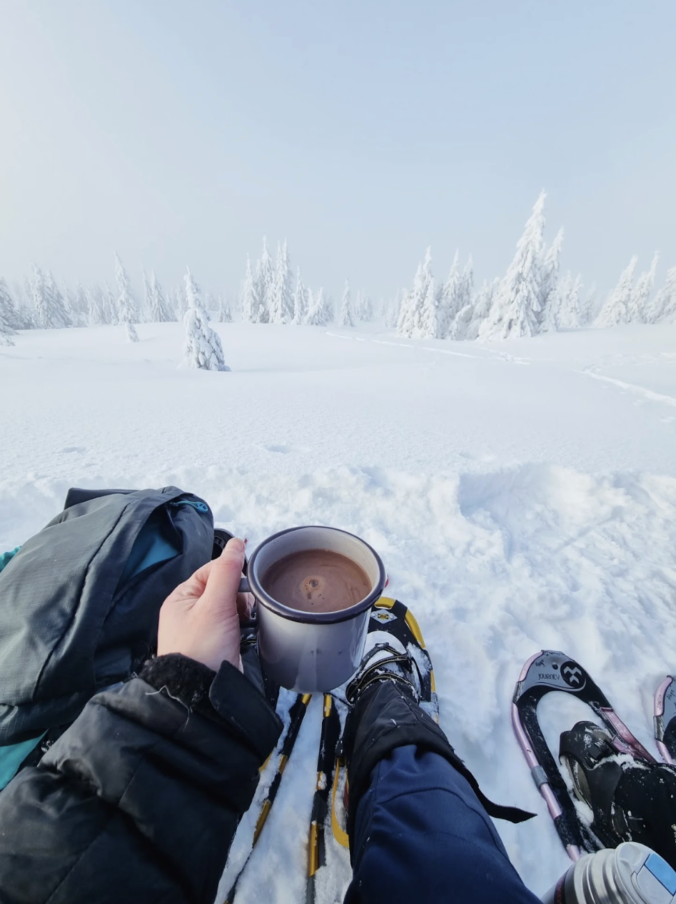 a photo of a hand holding a cup with a hot chocolate in front of a wintry landscape