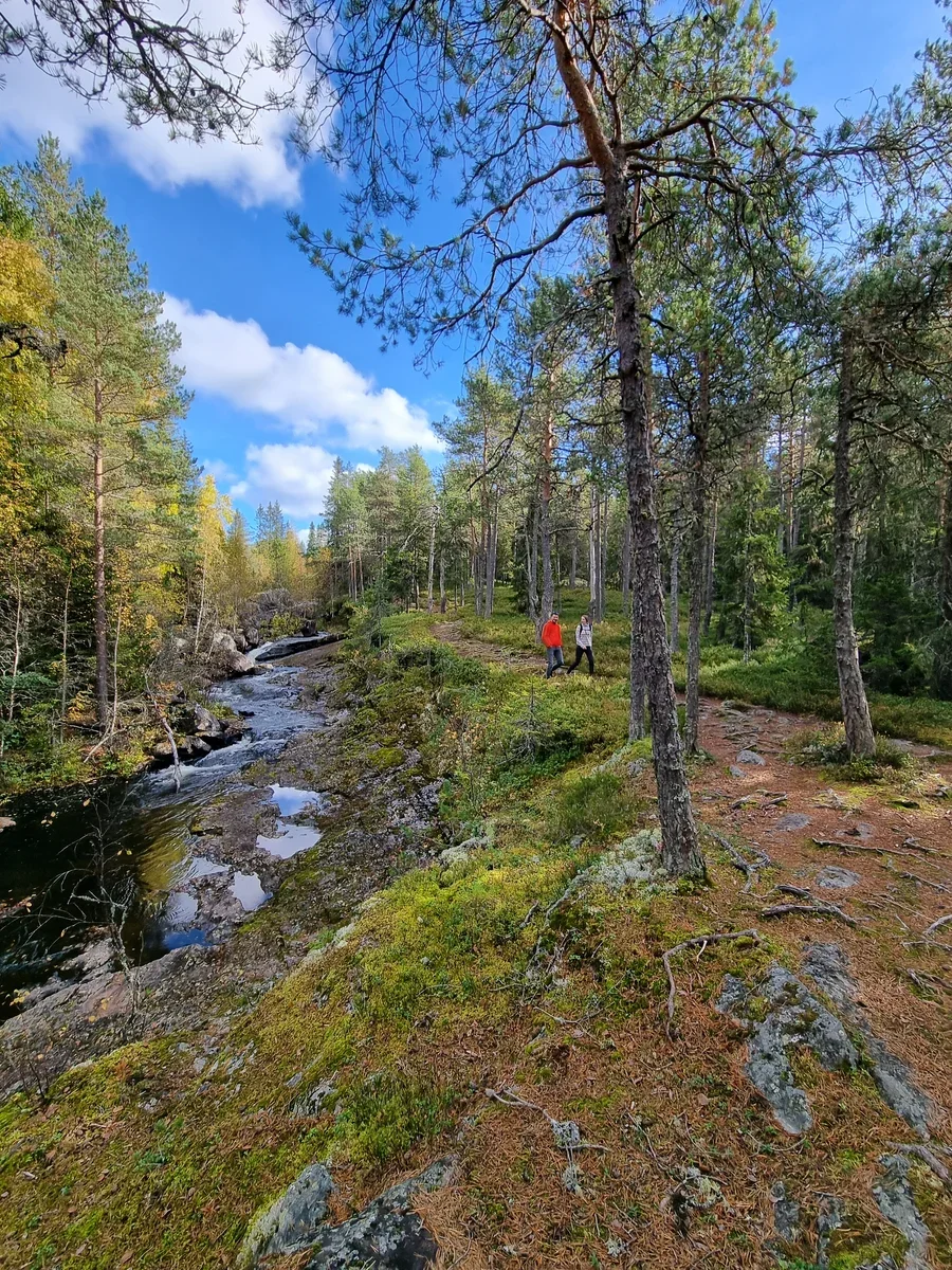 A hiking trail that runs in the forest next to a river. You can see two hikers following the trail 