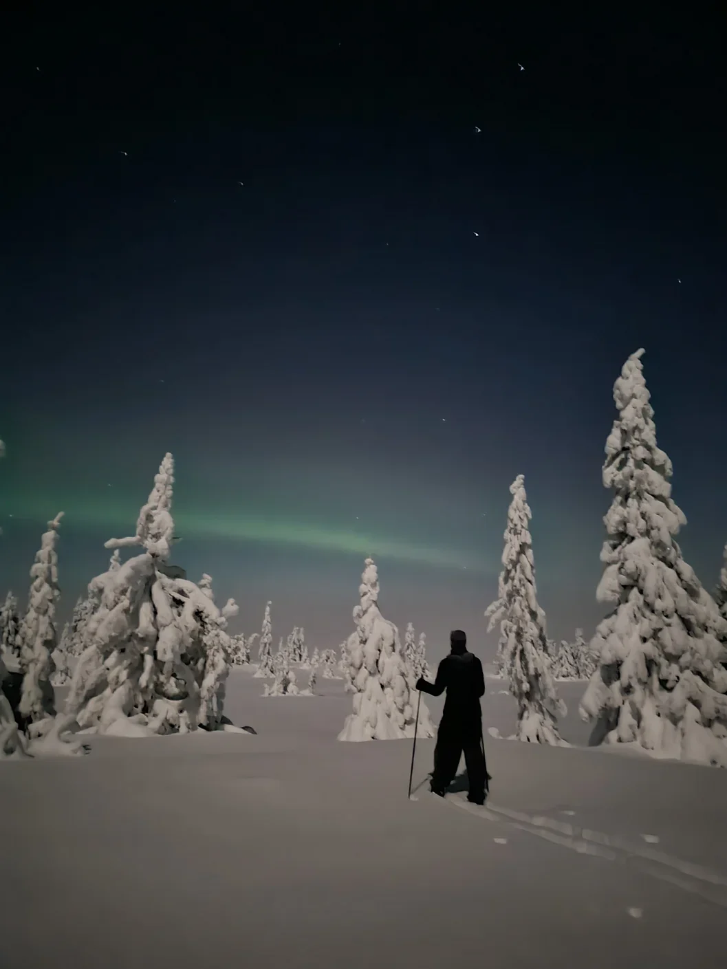 A person standing between snow covered trees looking into the sky where a faint line of northern lights is visible