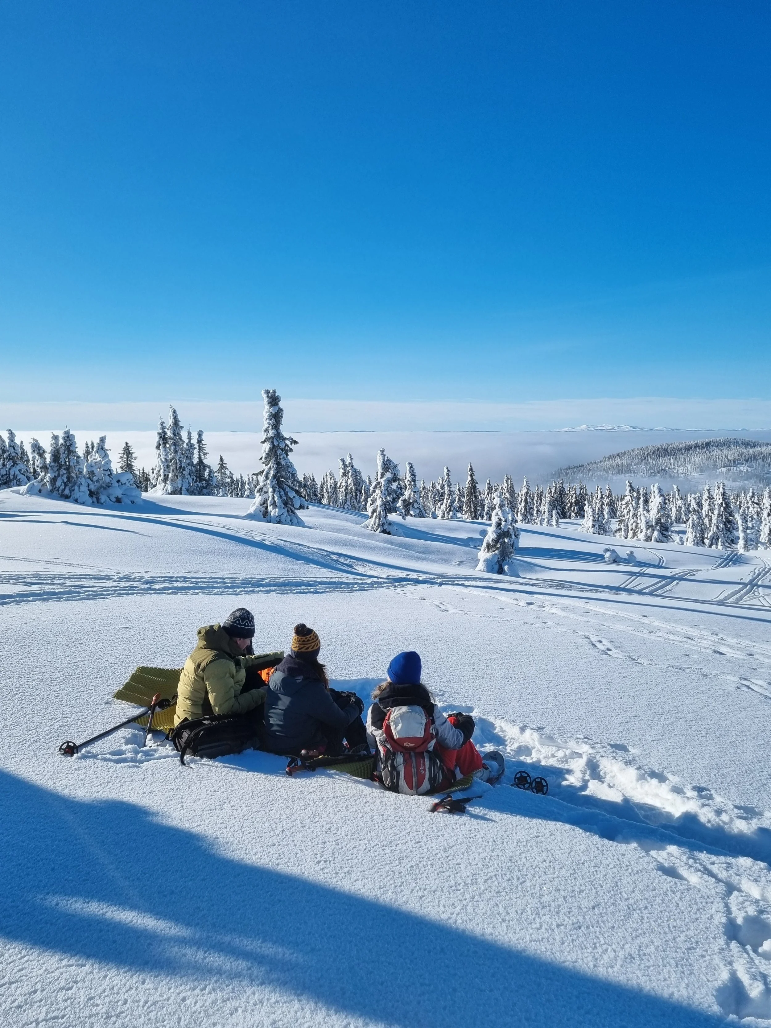 A group of three people sitting in the snow. In the background you can see snow covered trees and a blue sky