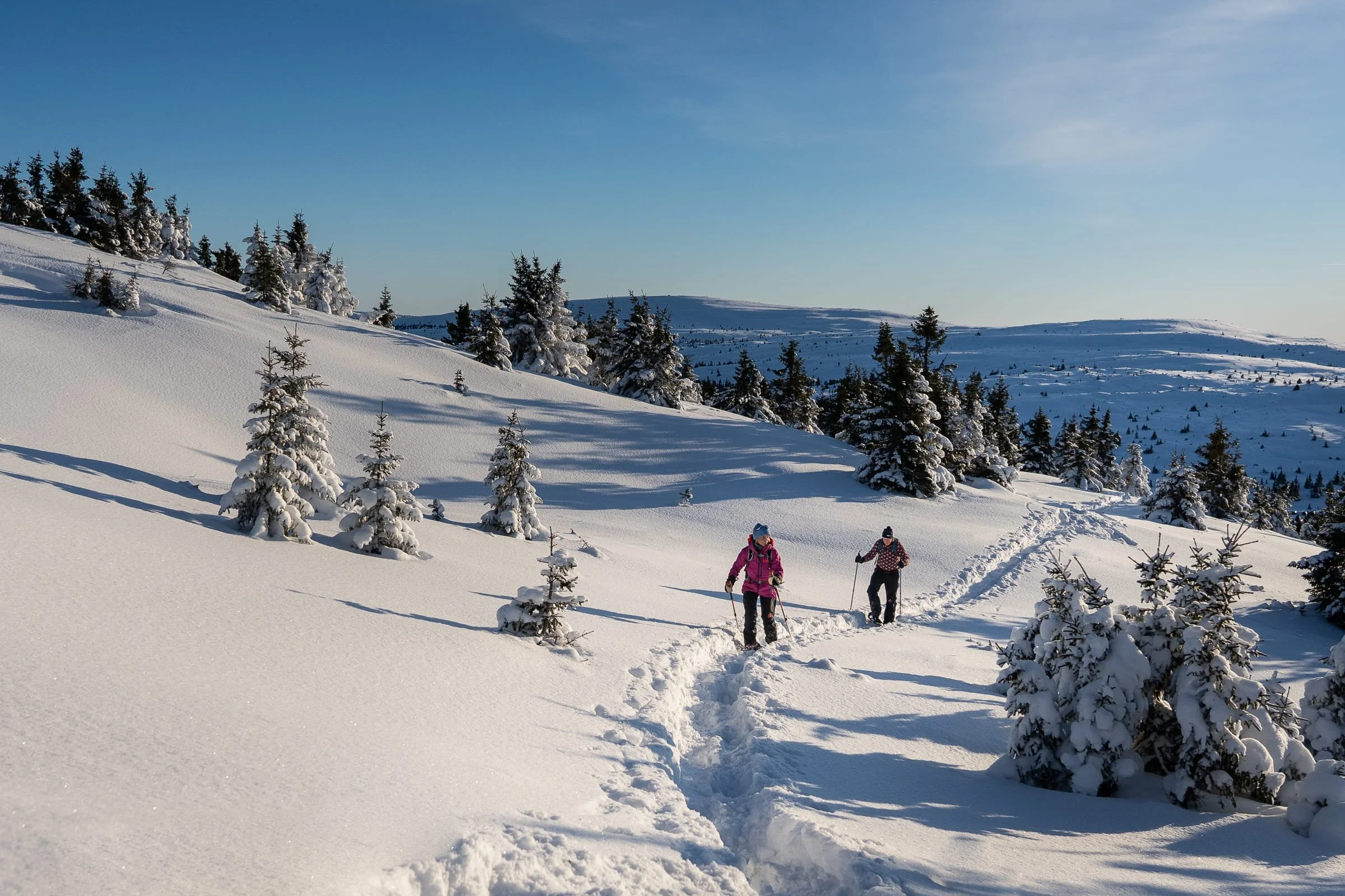 Peaceful snowshoe hike in nature in Hafjell