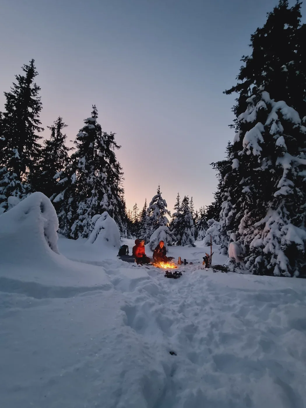 Two people sitting around a bonfire between snow covered trees