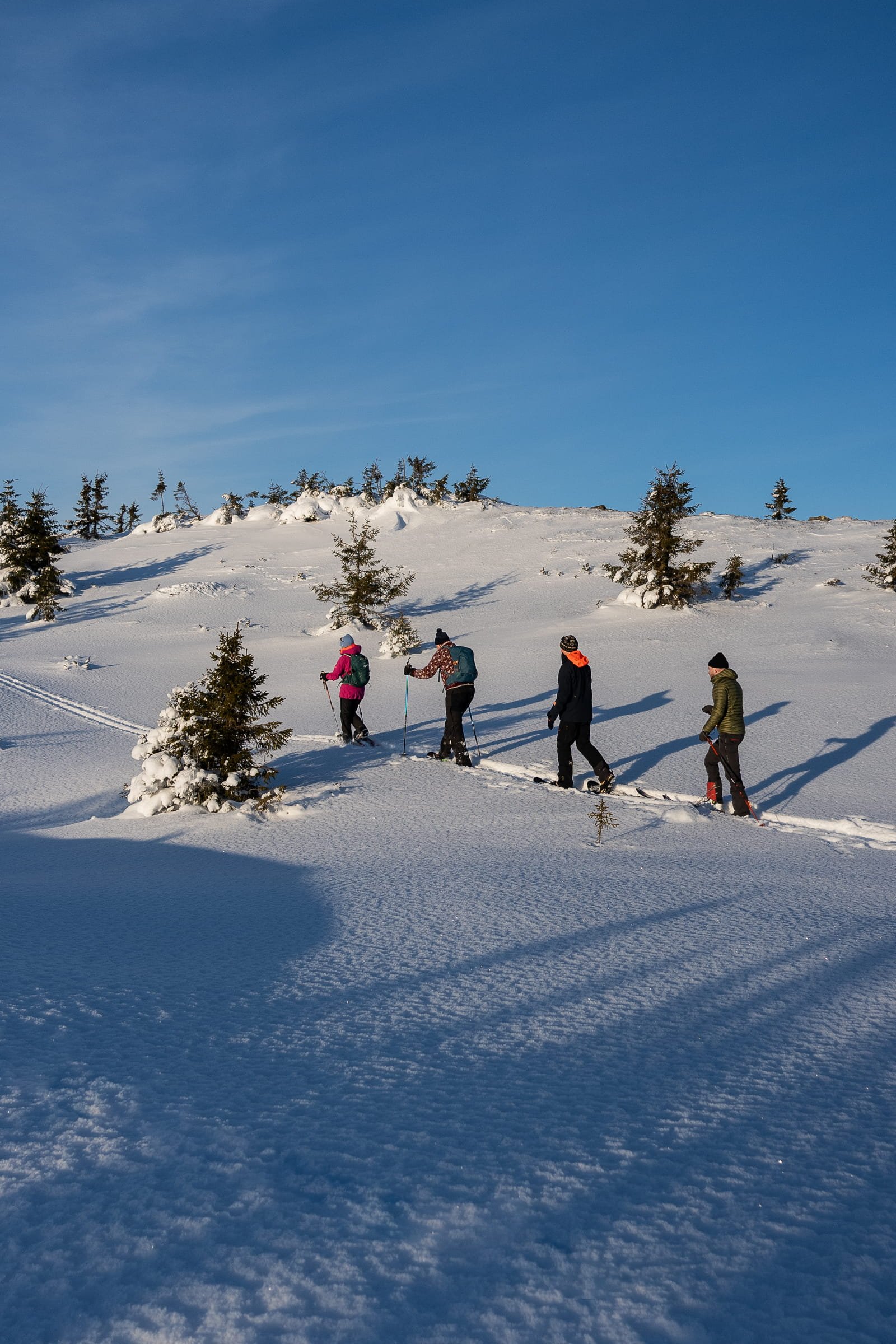 Guided snowshoe hike in Norway