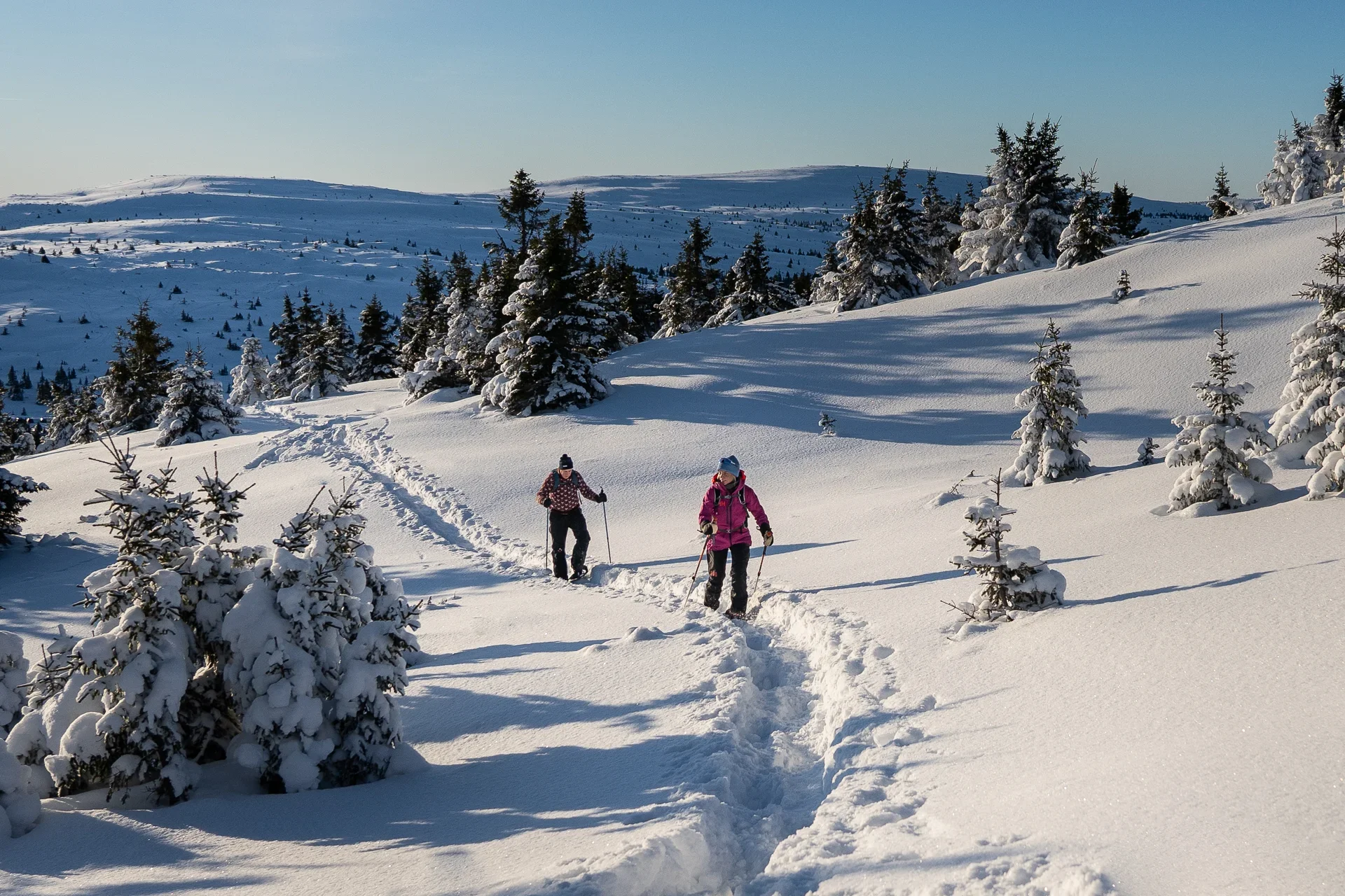 Two people walk on snowshoes through a snow covered landscape. In the background you can see snow covered hills and scattered fir trees.