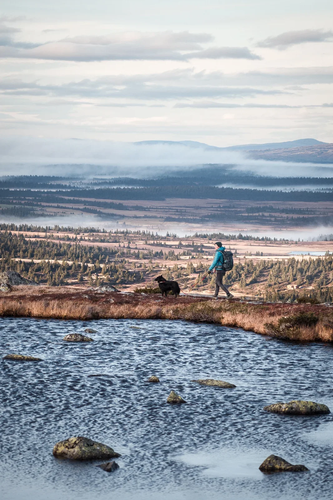A person and a dog hiking in a wide landscape. In the foreground you can see a small lake, in the background you can see rolling hills covered in fog