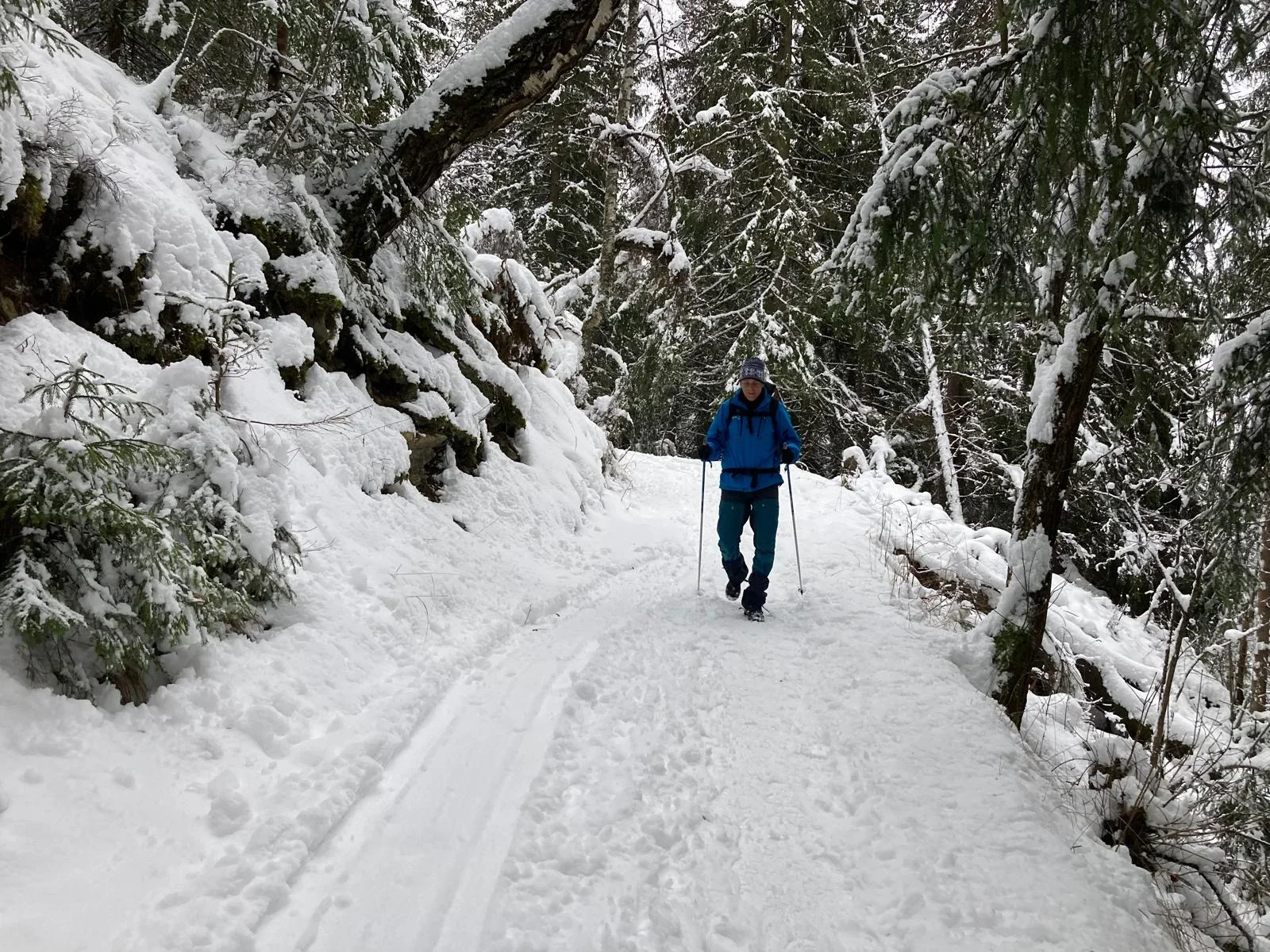 A person walking through a wintry forest