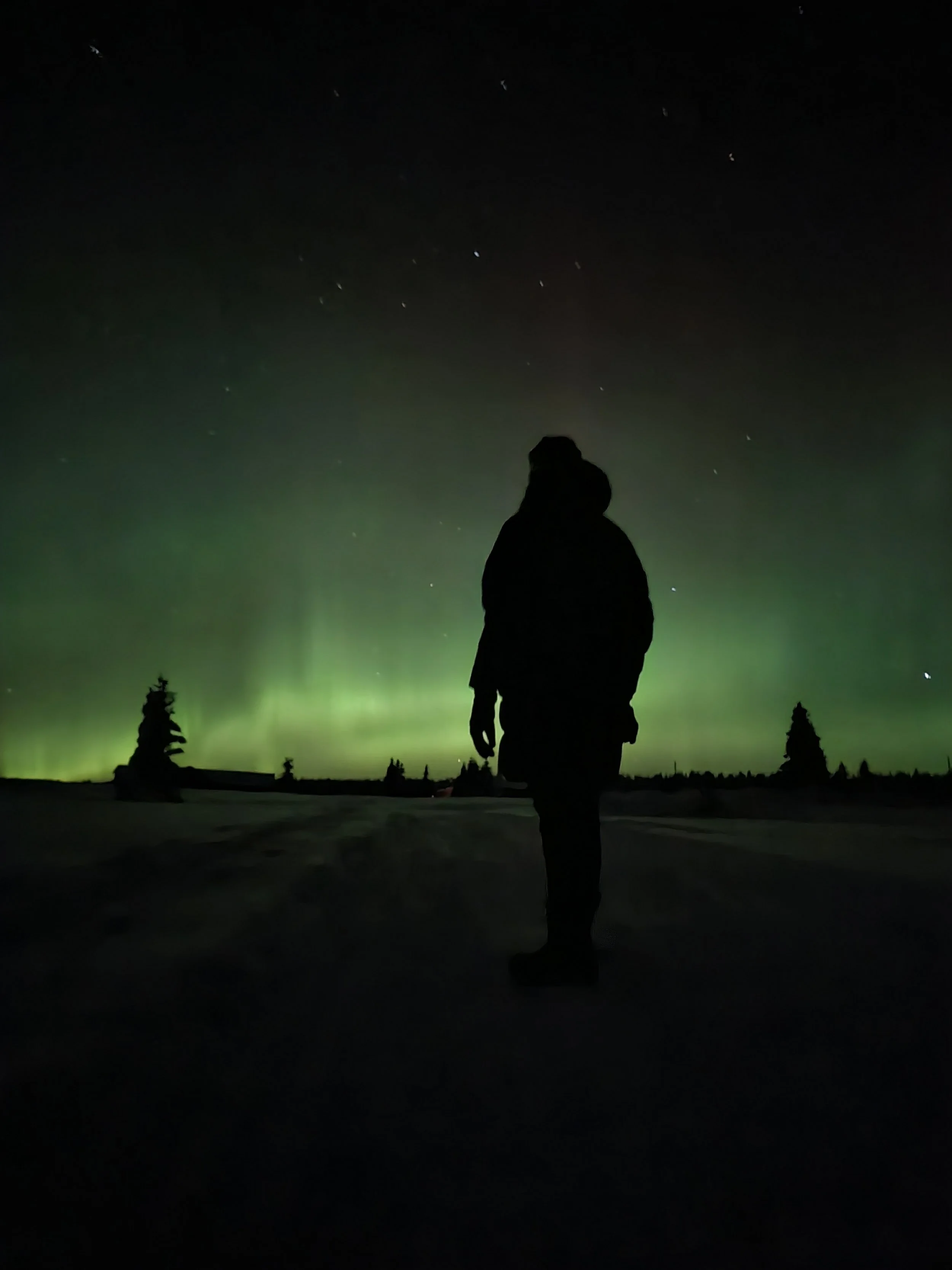 A silhouette of a person standing in front of the night sky illuminated by northern lights