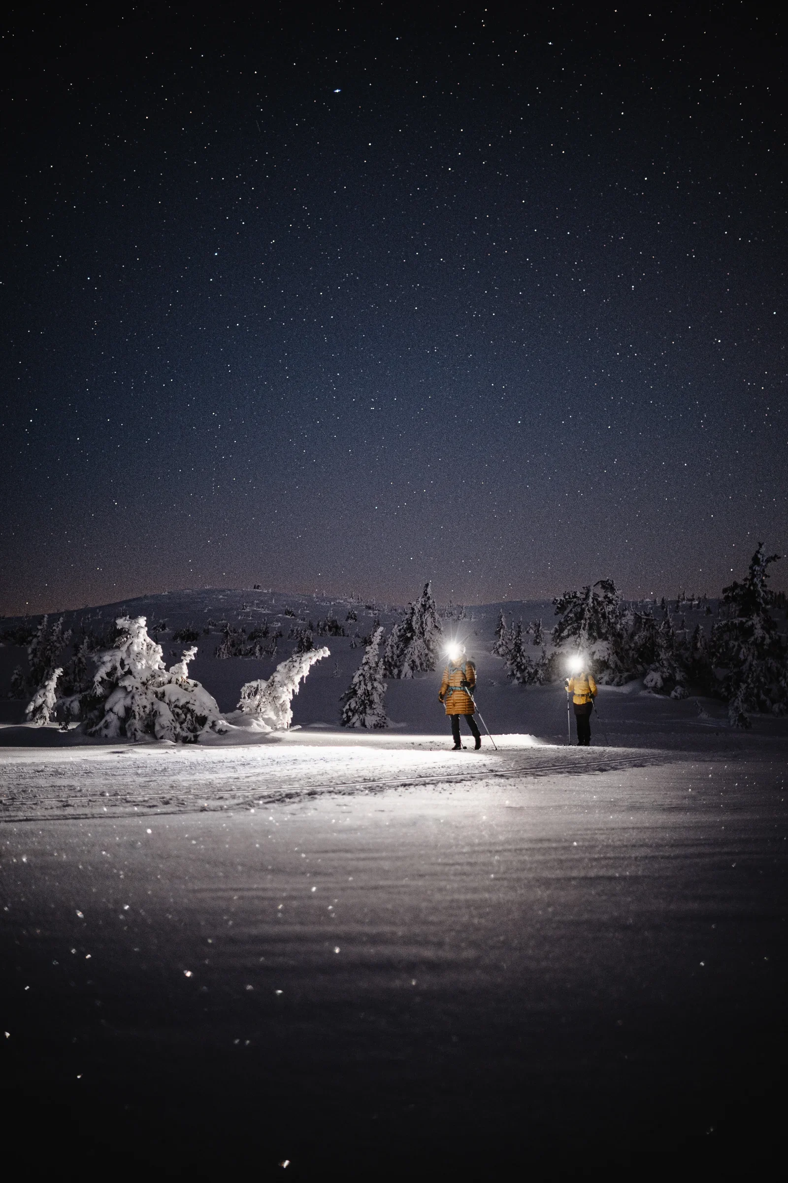 Two people with yellow jackets and headlamps standing in a winter landscape at night under the nightsky with a lot of stars