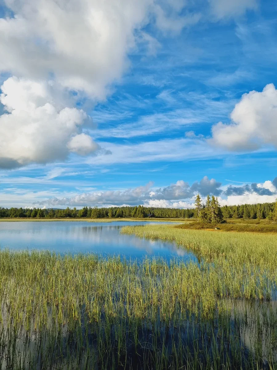 A lake in the foreground reflecting the blue sky above. In the background you can see a forest.