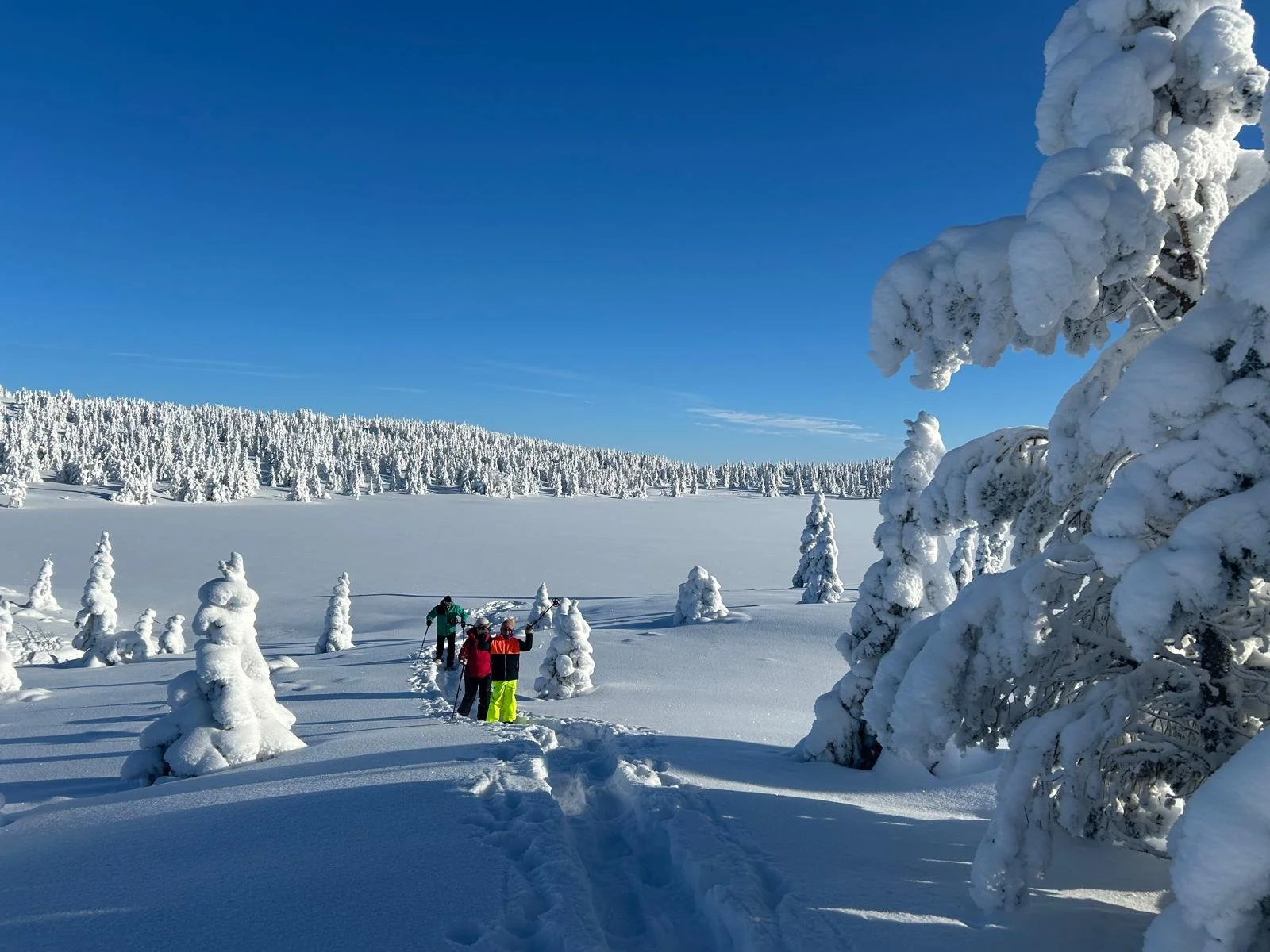 A family of three people snowshoe hiking through a wintry landscape