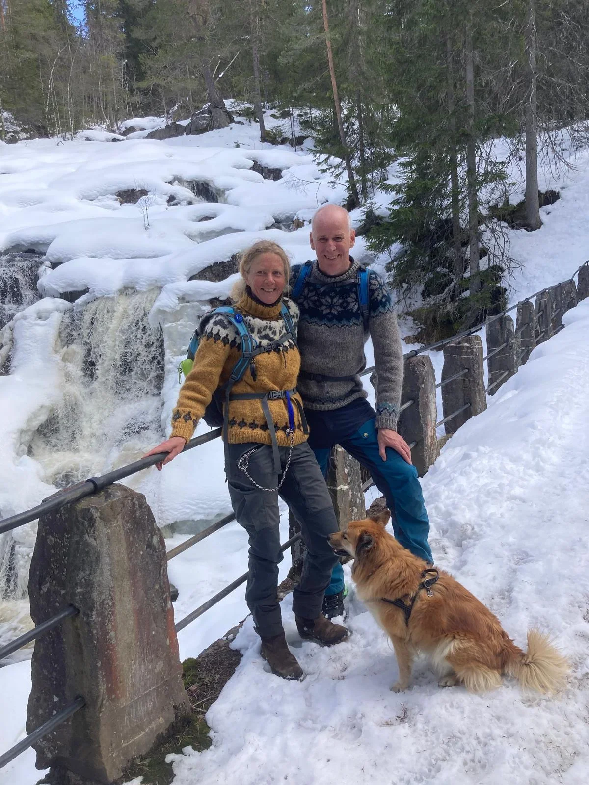 A couple with a dog standing in front of a frozen waterfall in a snow covered landscape