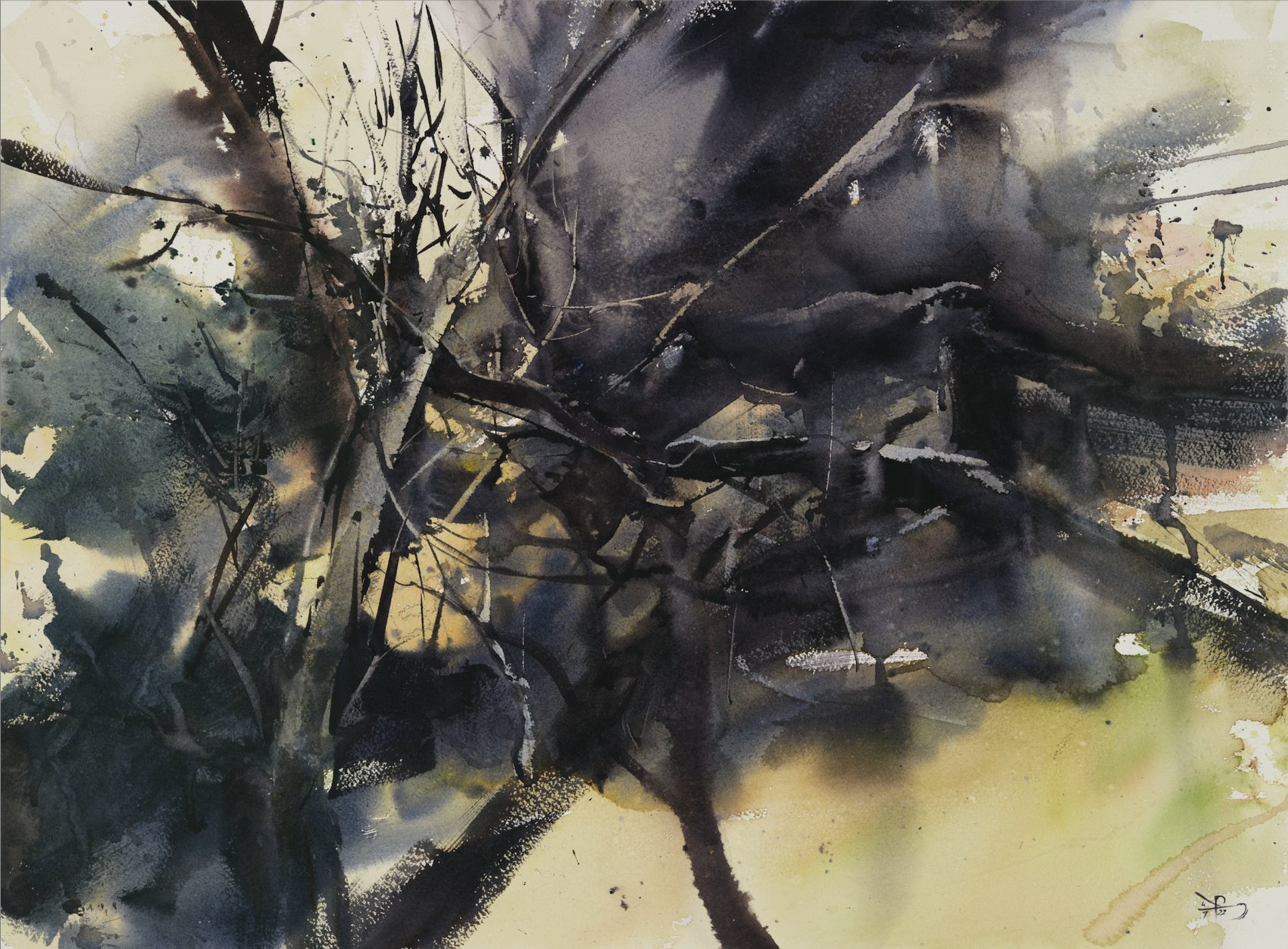 Abstraction Nature, 2022