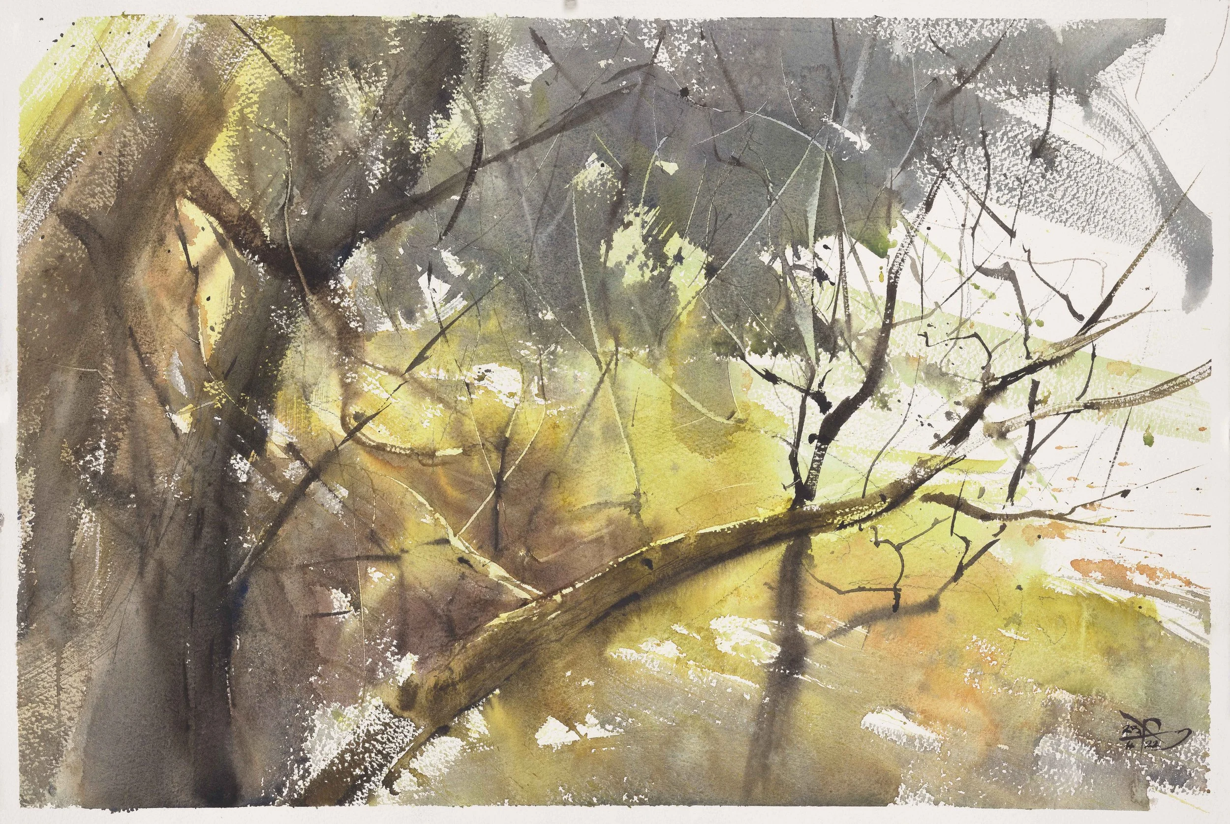 Nature Vibrated, 2022 SOLD