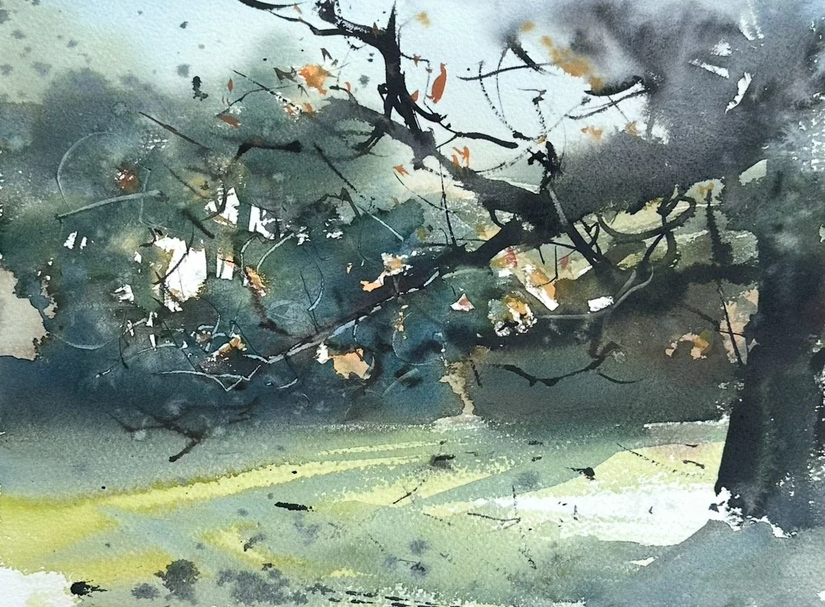 November Sunlight, £380