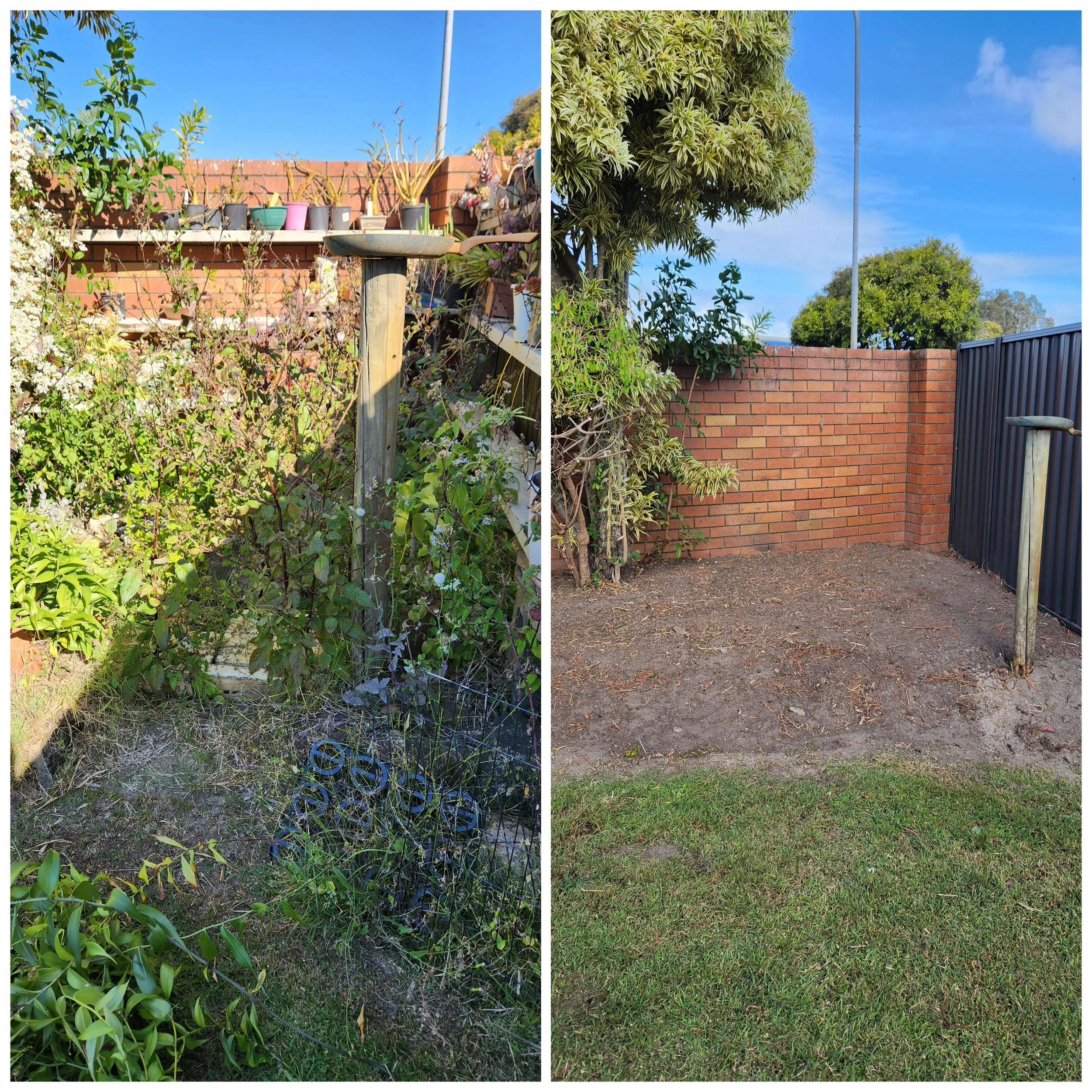 garden-clean-up-bokarina.jpg