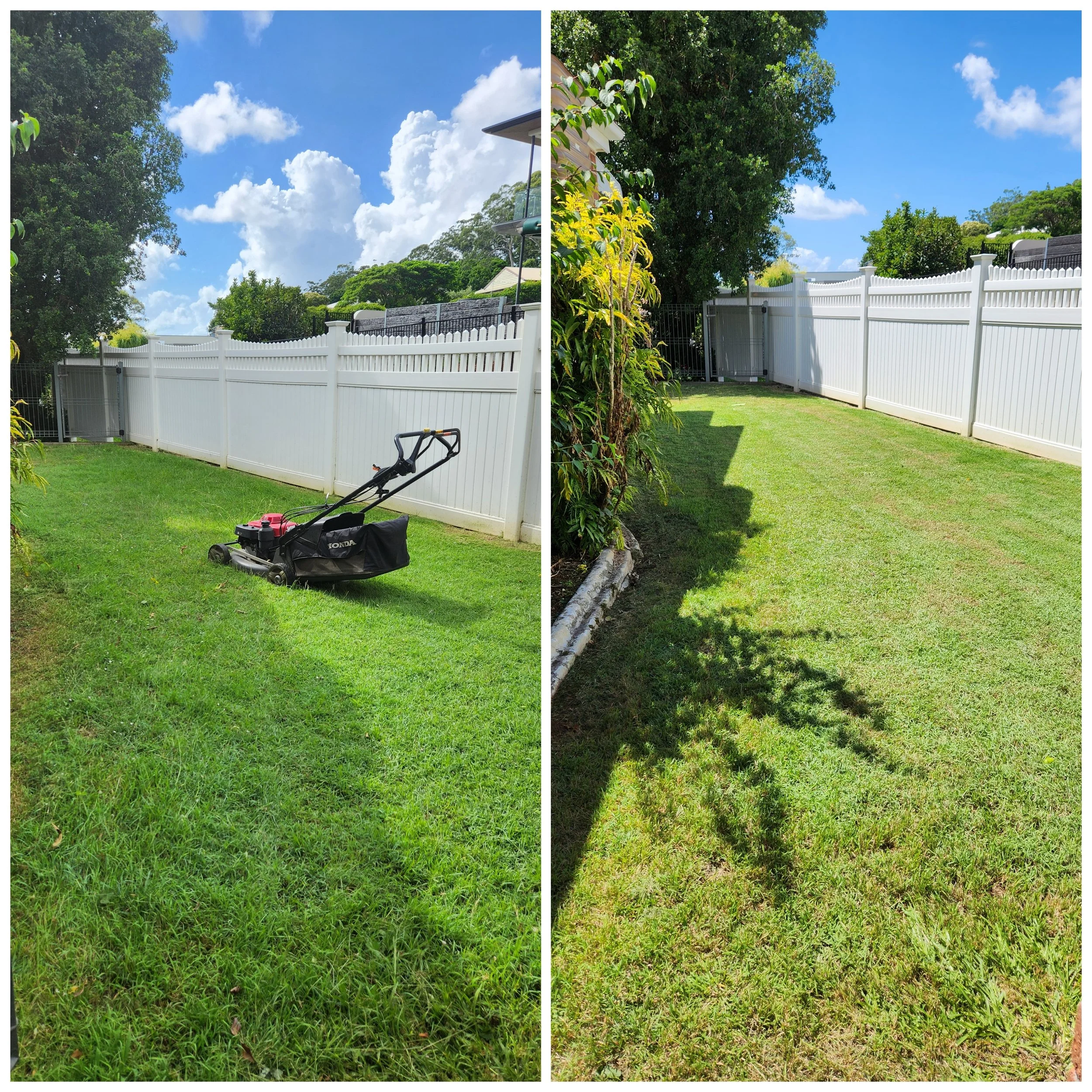 lawn-and-yard-maintenance-buderim.jpg