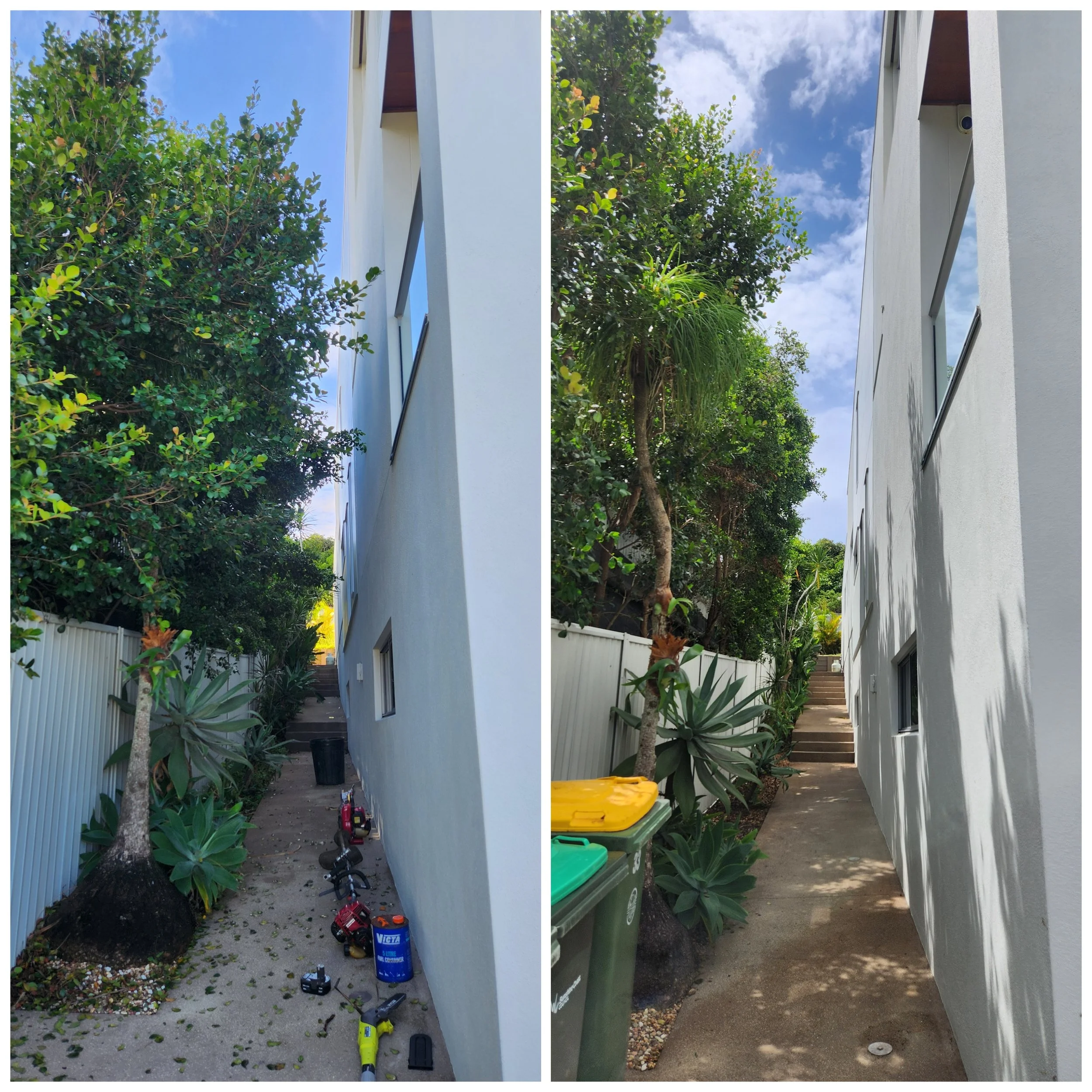 garden-clean-up-caloundra.jpg