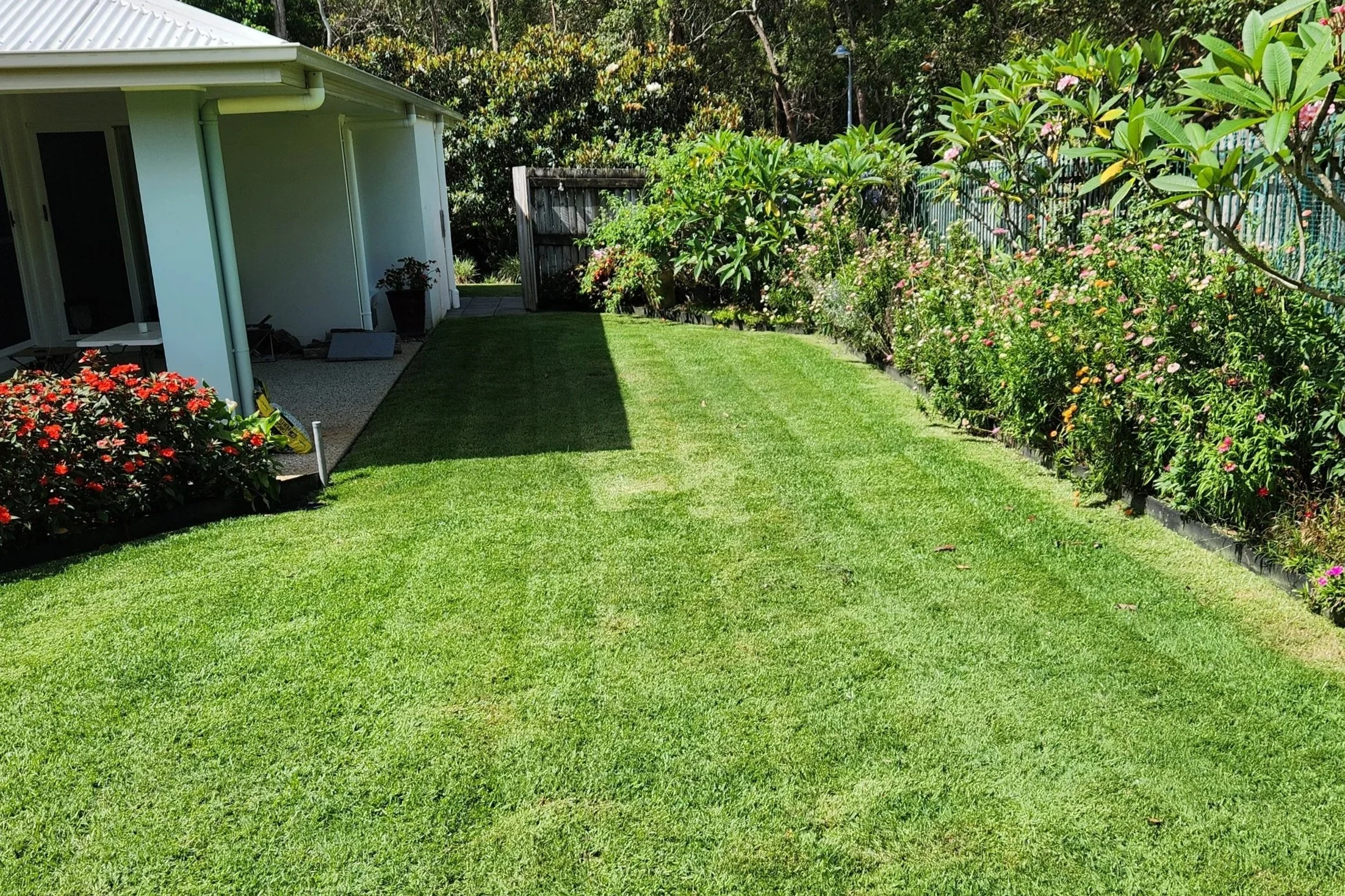 lawn-care-wurtulla.jpg