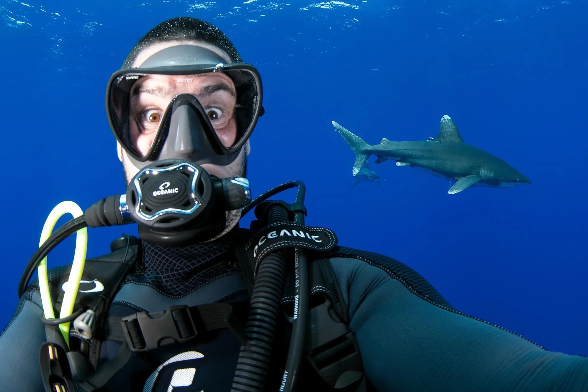 Close-up of a scuba diver wearing a mask and breathing apparatus, underwater in the ocean, with a shark swimming in the background.