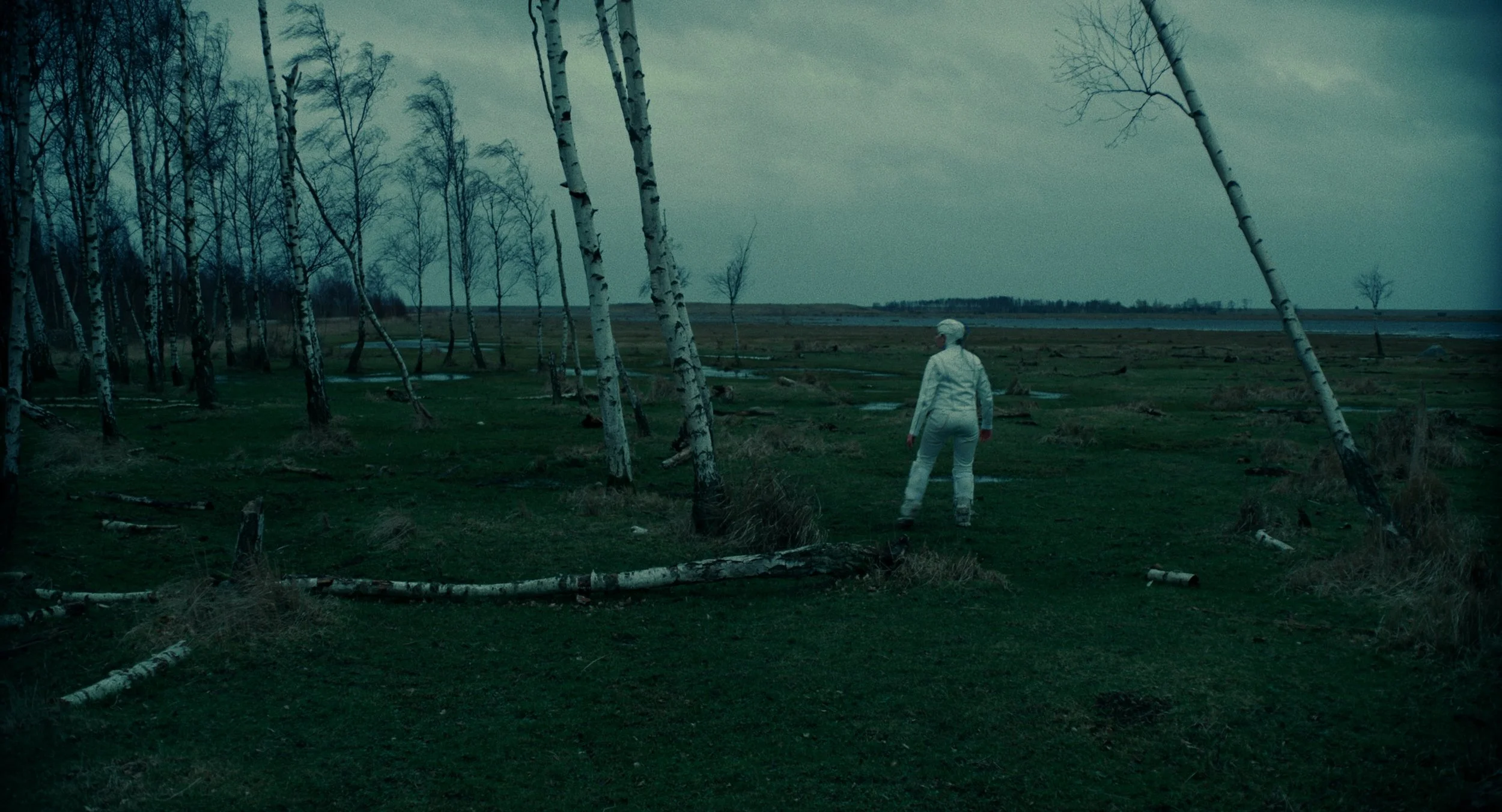 A person dressed in white walking through a dark, desolate landscape with fallen trees and overcast sky.