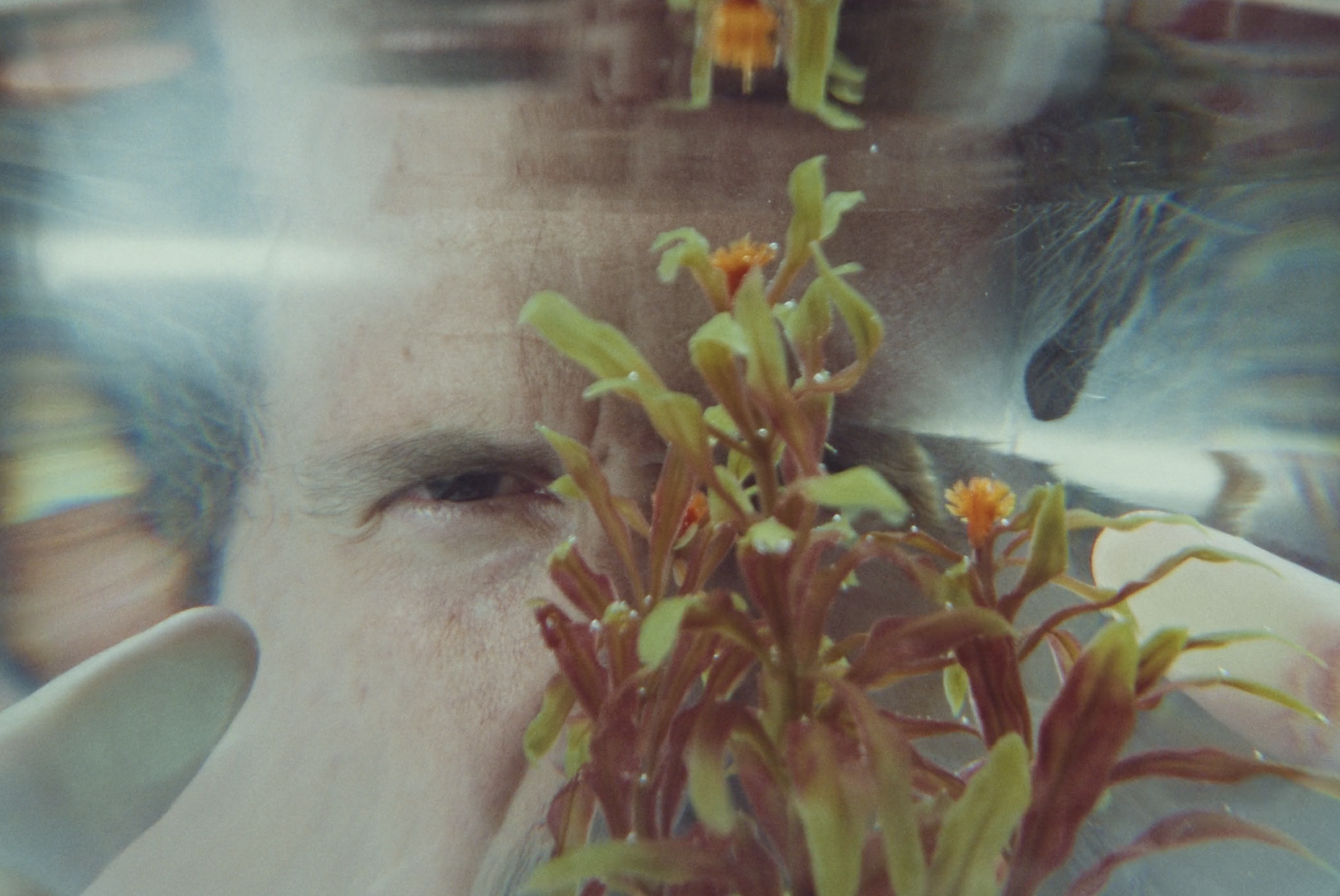 A person with a hand wearing a latex glove holds a glass container with a plant and a person's face in the background, partially obscured by the plant.