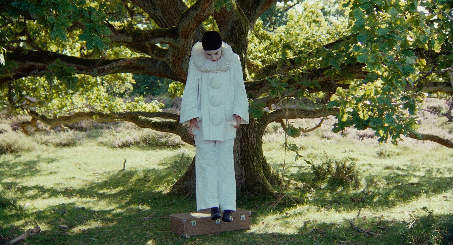 A person dressed as a clown or mime, in white costume with a ruffled collar, hanging from a tree branch with a noose, standing on a closed brown suitcase, in a forested area with green grass and leaves.