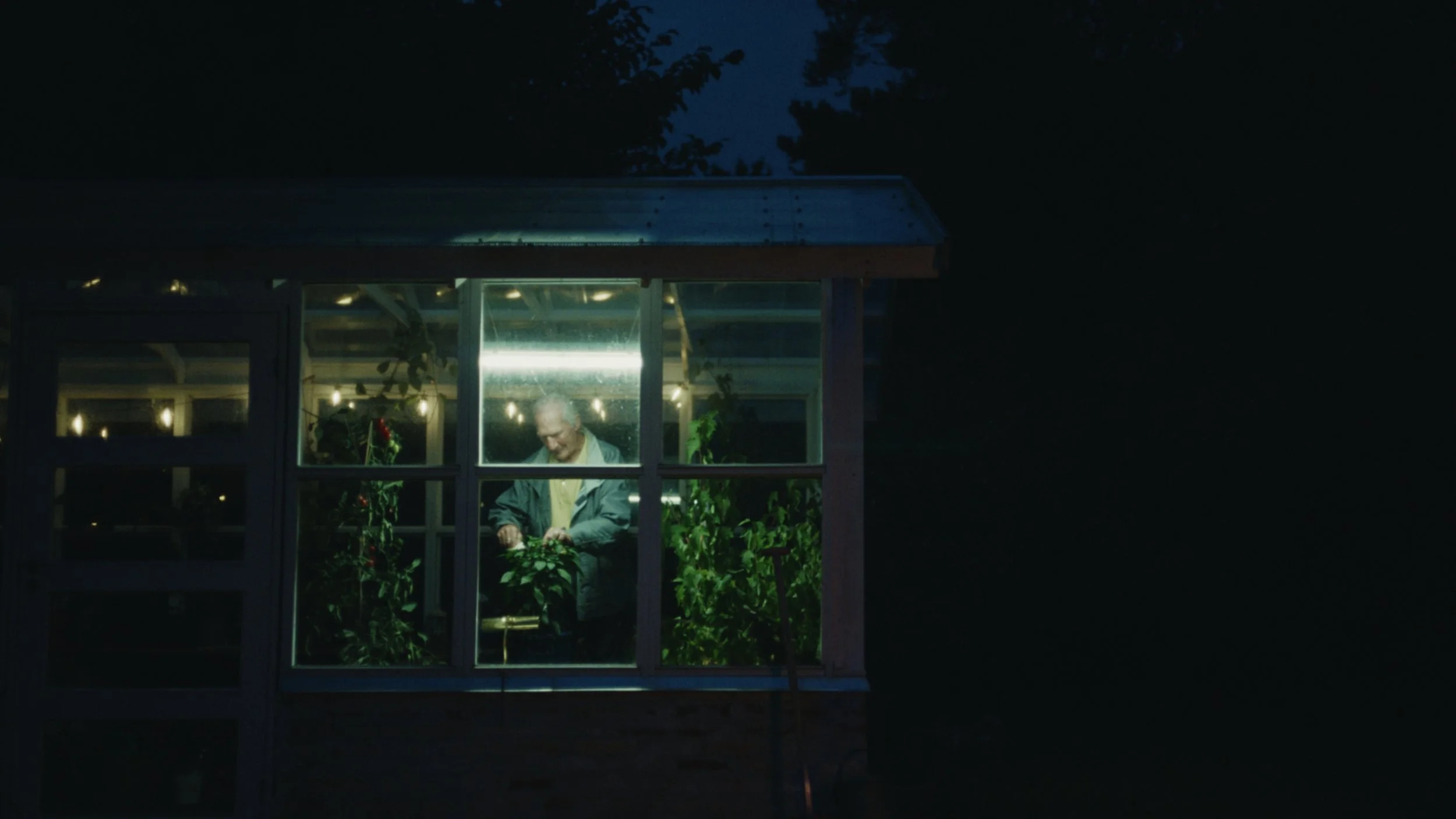 A person working in a greenhouse at night, illuminated by the interior lights surrounded by plants.