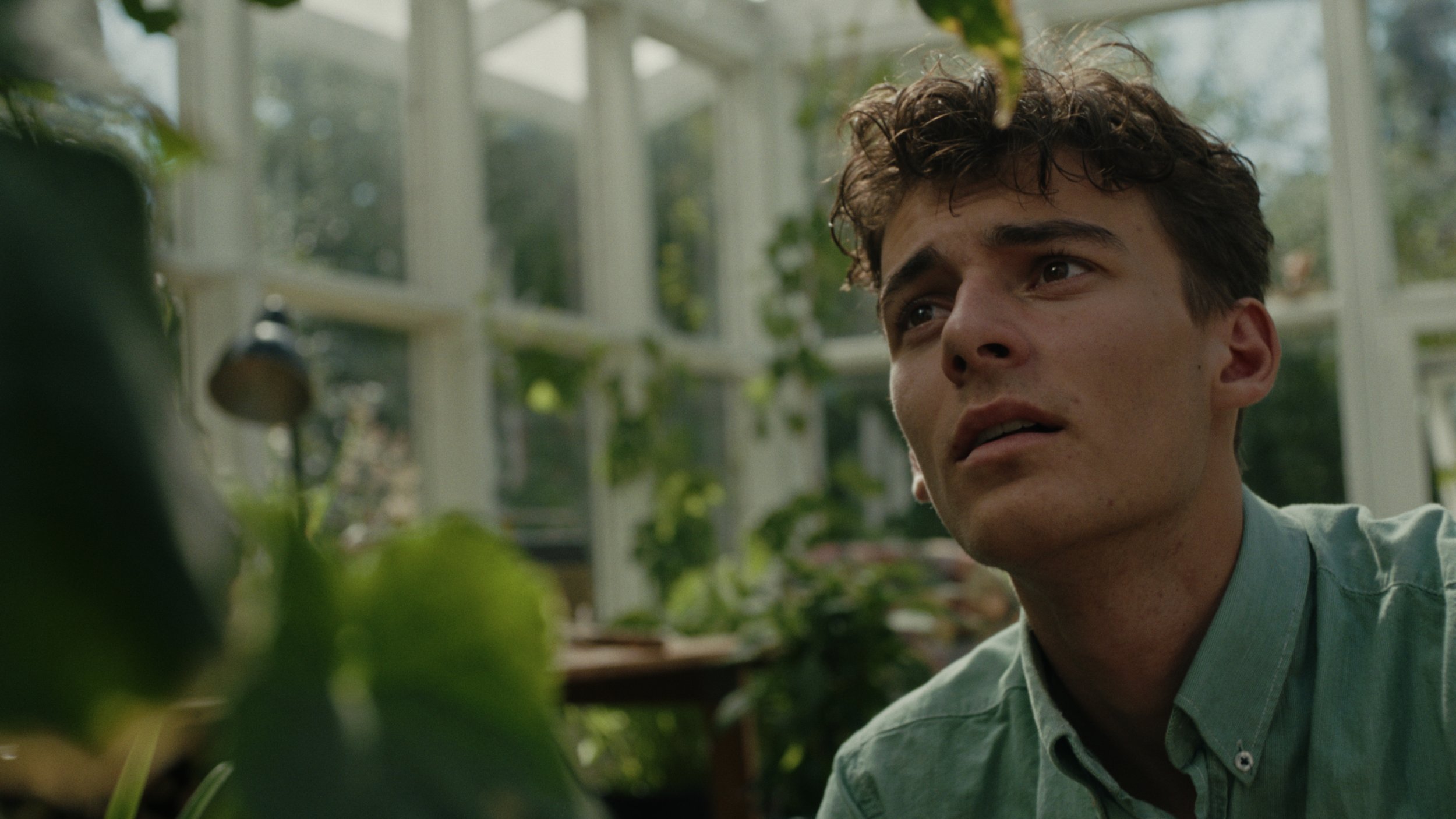 A young man with curly brown hair and light skin, wearing a light green shirt, looks upwards with a worried or concerned expression inside a greenhouse filled with plants and natural light.