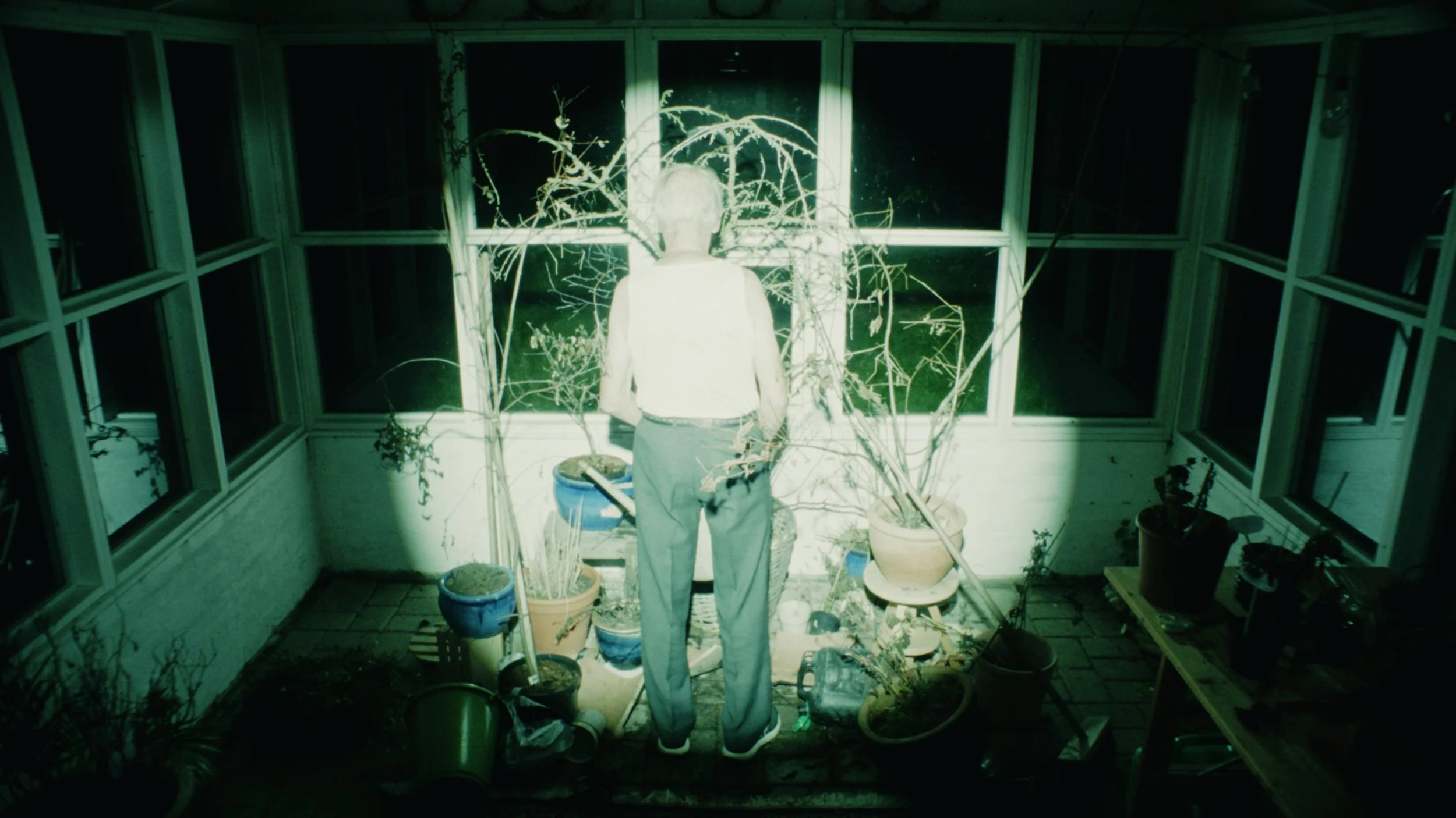 A person standing on a glass-enclosed patio at night, surrounded by potted plants, with a bright green outdoor area visible through the windows.