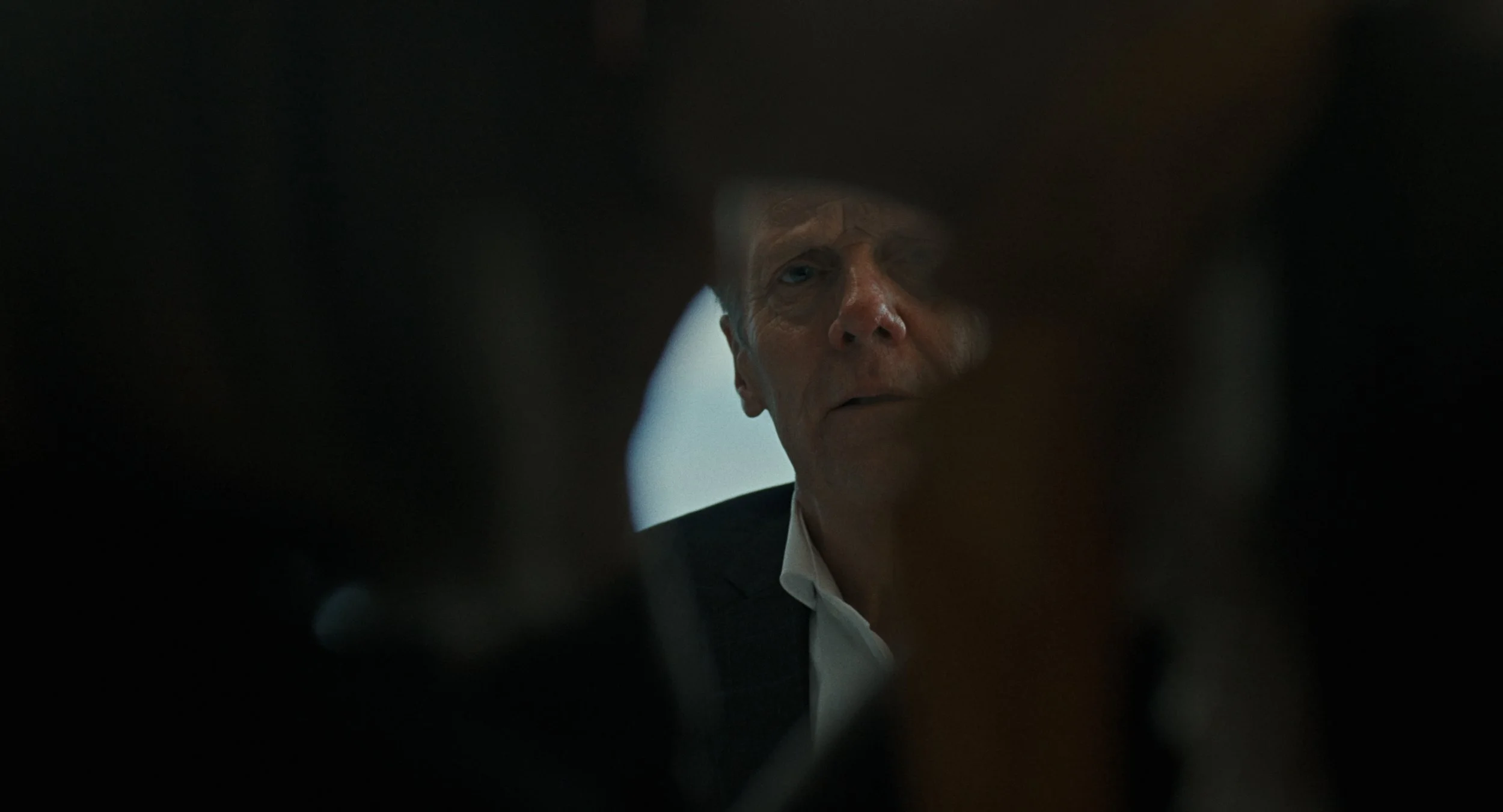 A man with a serious expression seen through a narrow opening, with the background blurred.