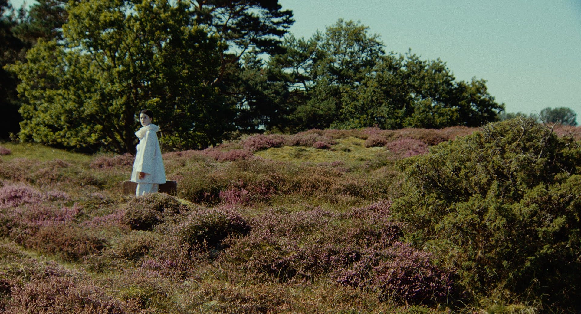Person dressed in white coat standing on a grassy hill with bushes and trees in the background.