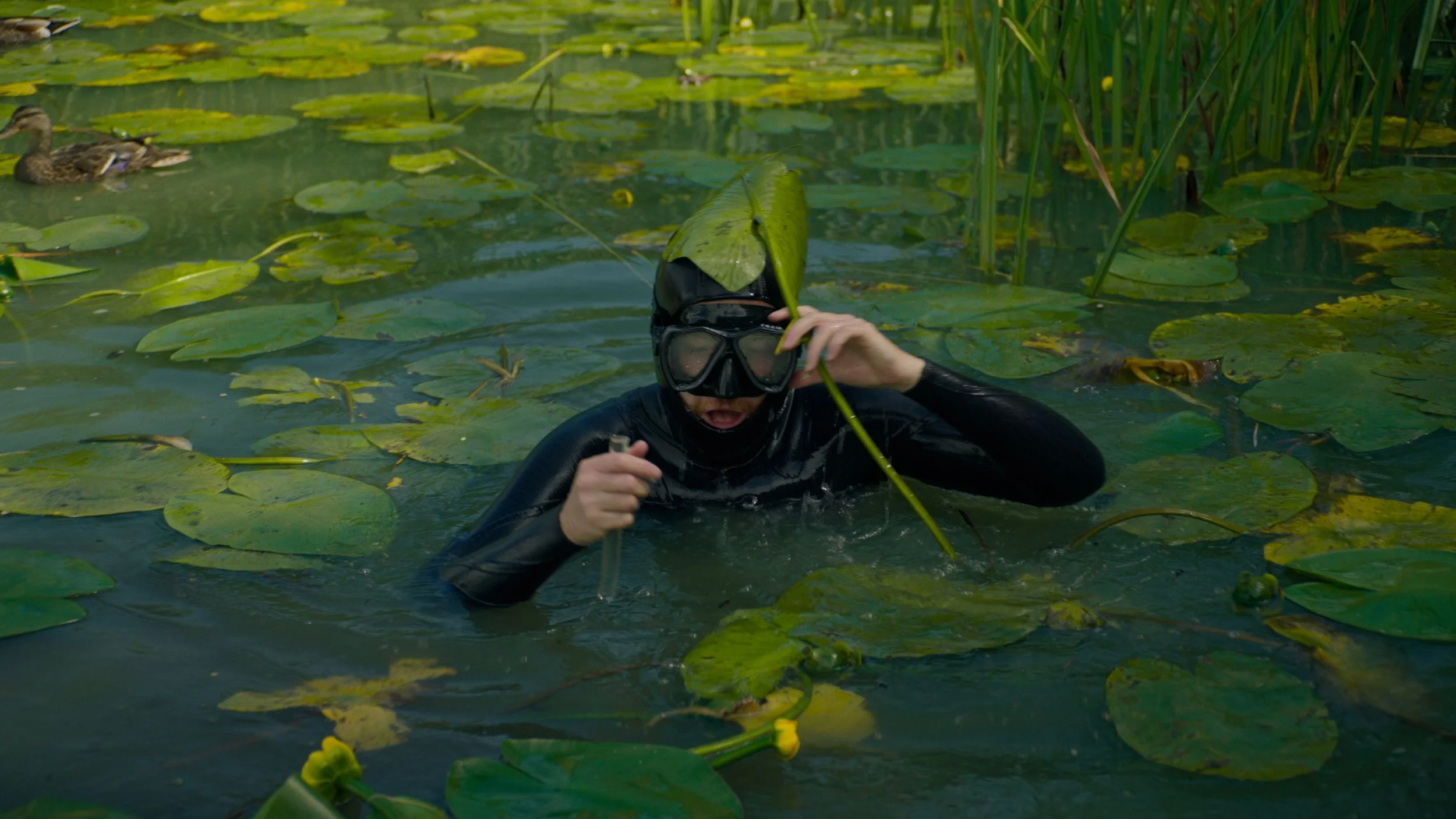 Person in black wetsuit and snorkeling gear swimming among lily pads in a pond, holding a leaf plant and adjusting goggles.
