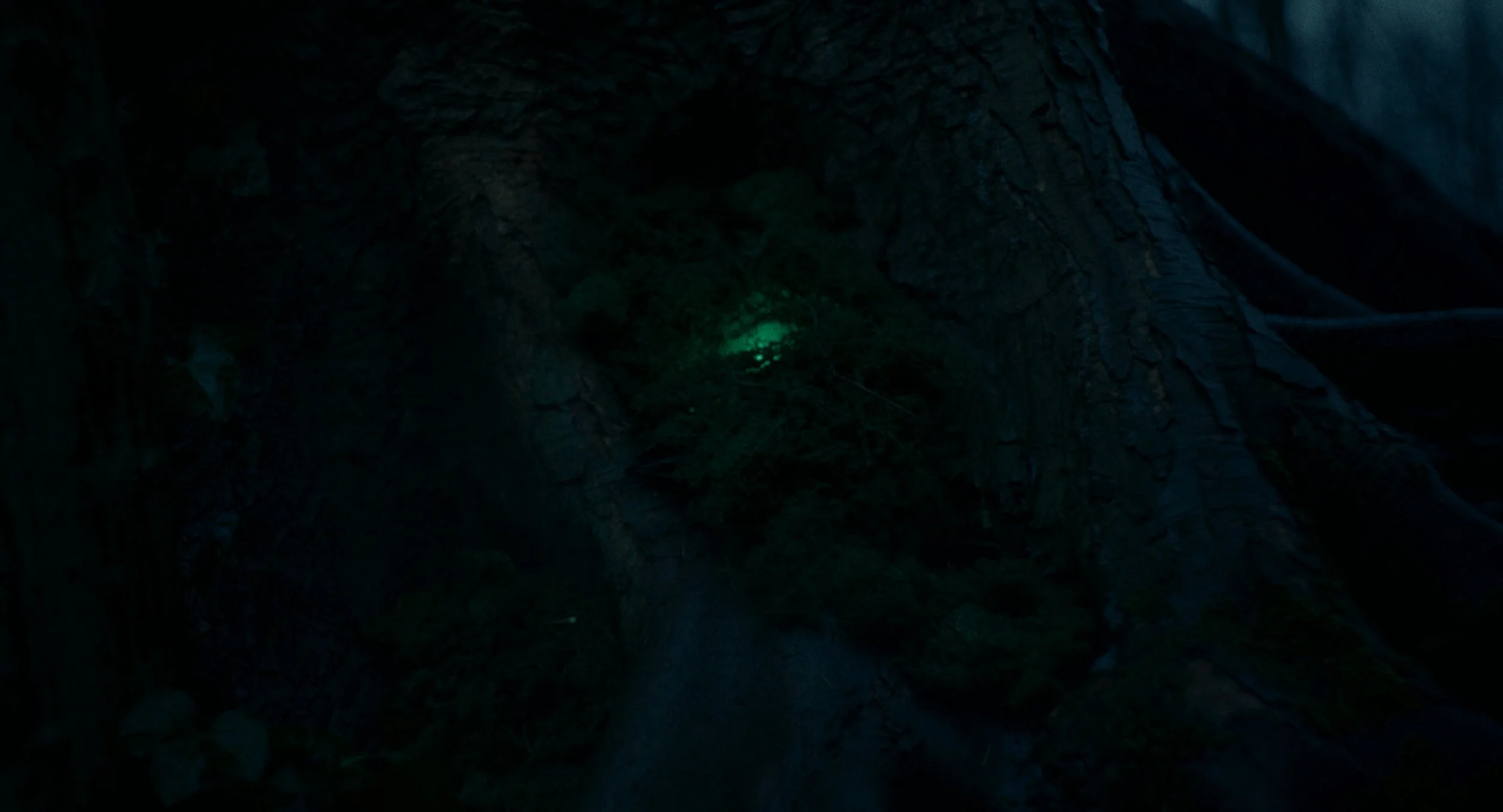 Dark cave interior with a faint greenish light illuminating a small area.