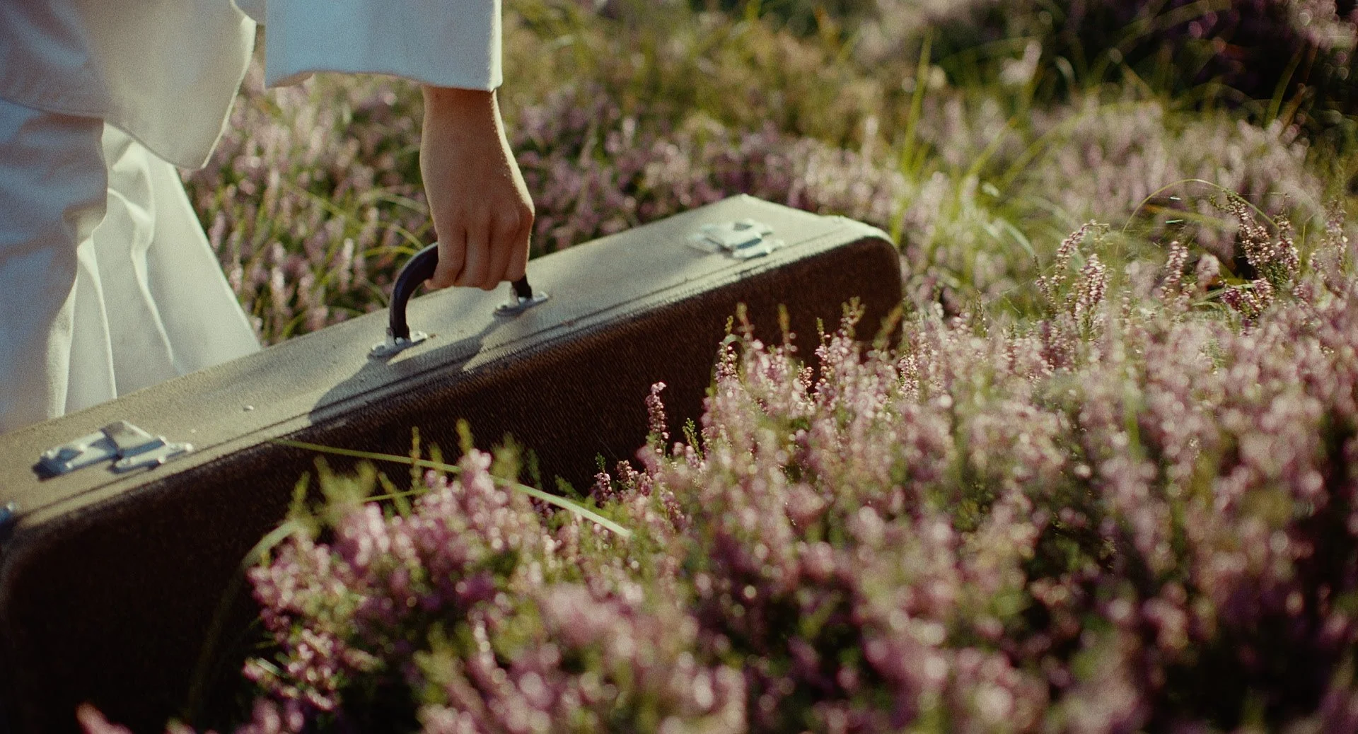 Person holding a vintage brown case in a field of pink flowers.