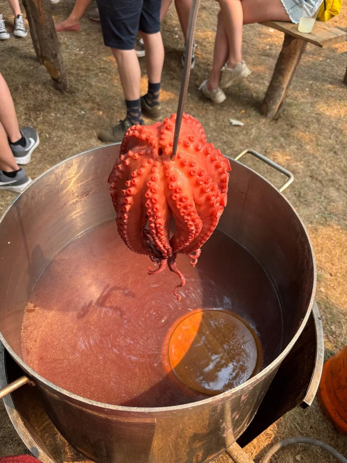 Pulpo cocinado