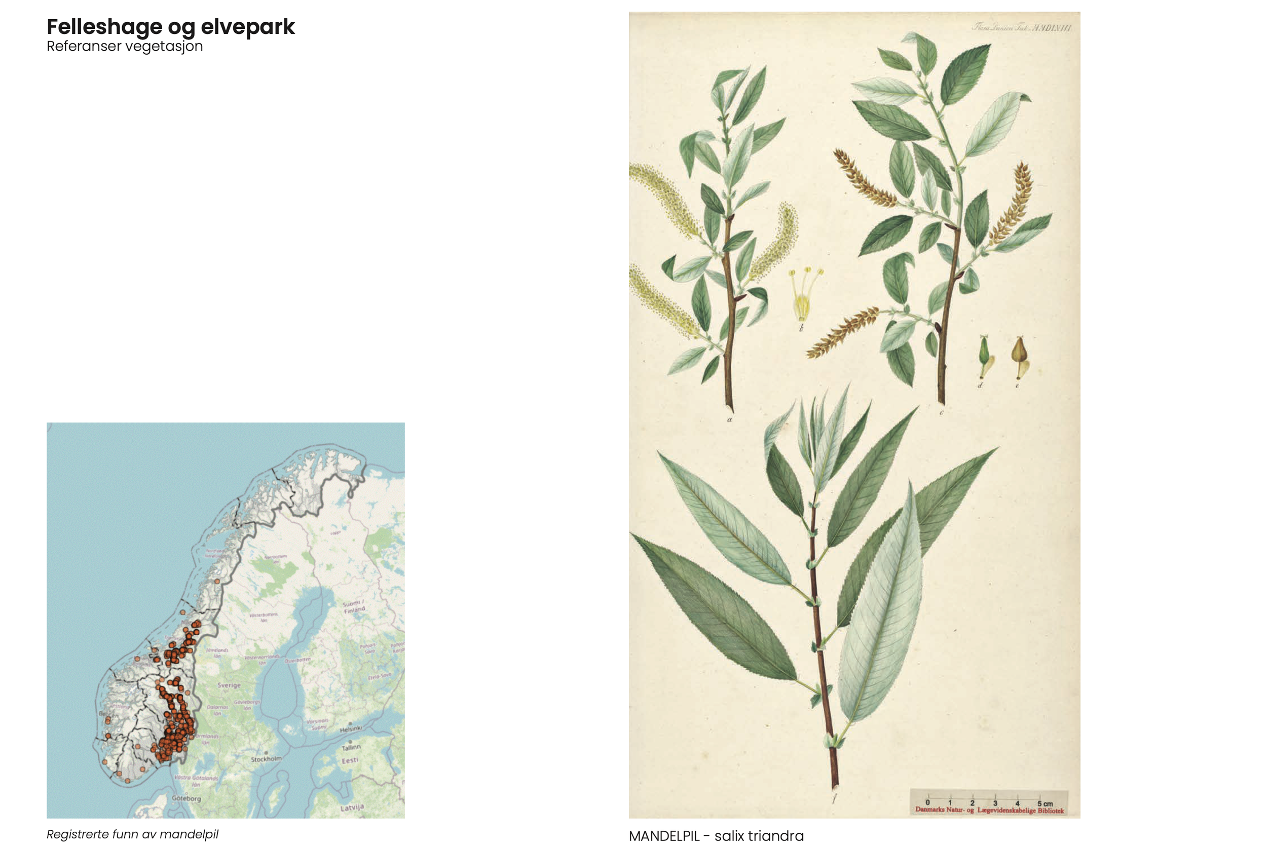 Skjermbilde 2025-09-16 kl. 17.55.49.png