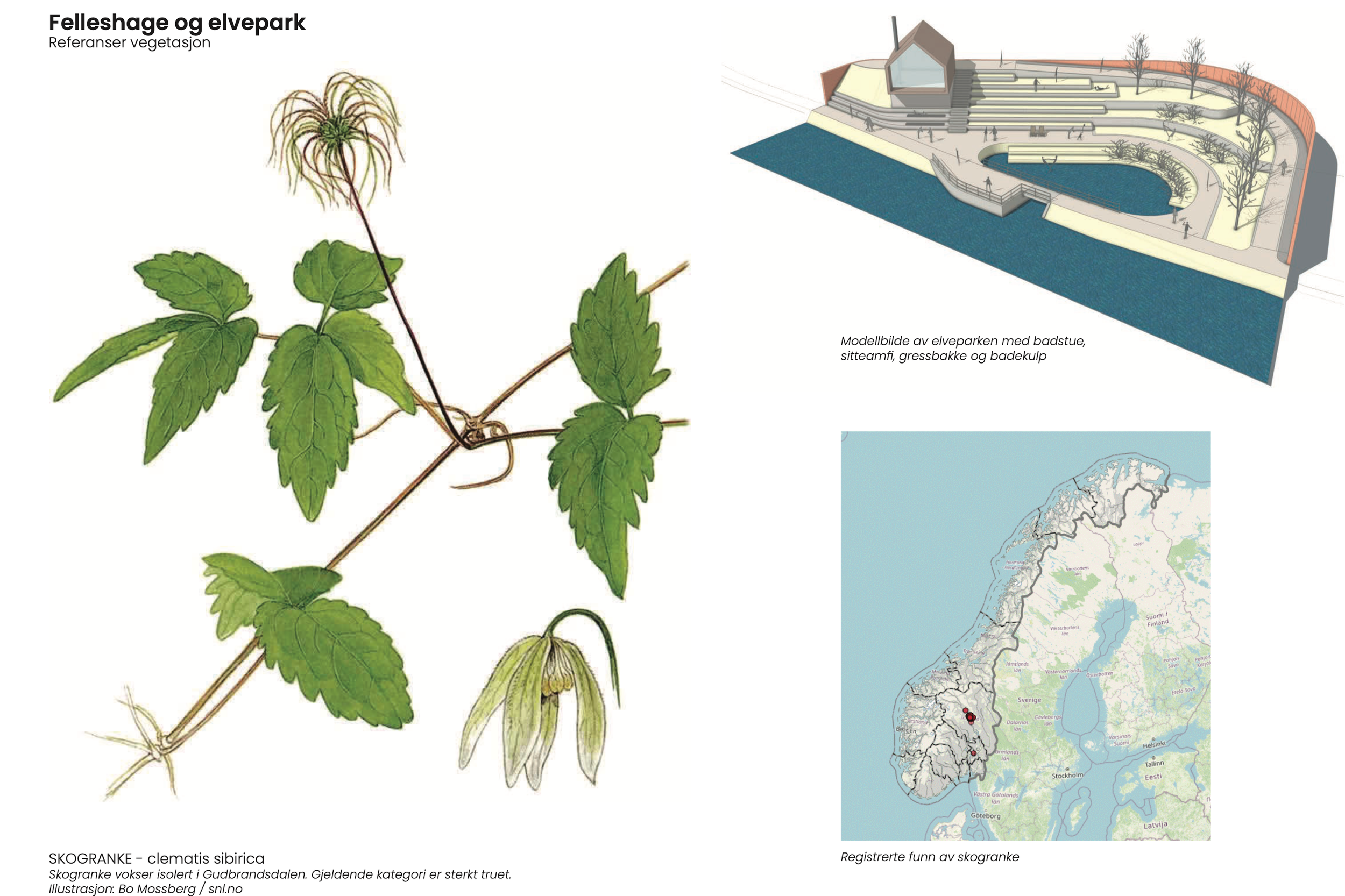 Skjermbilde 2025-09-16 kl. 17.55.34.png