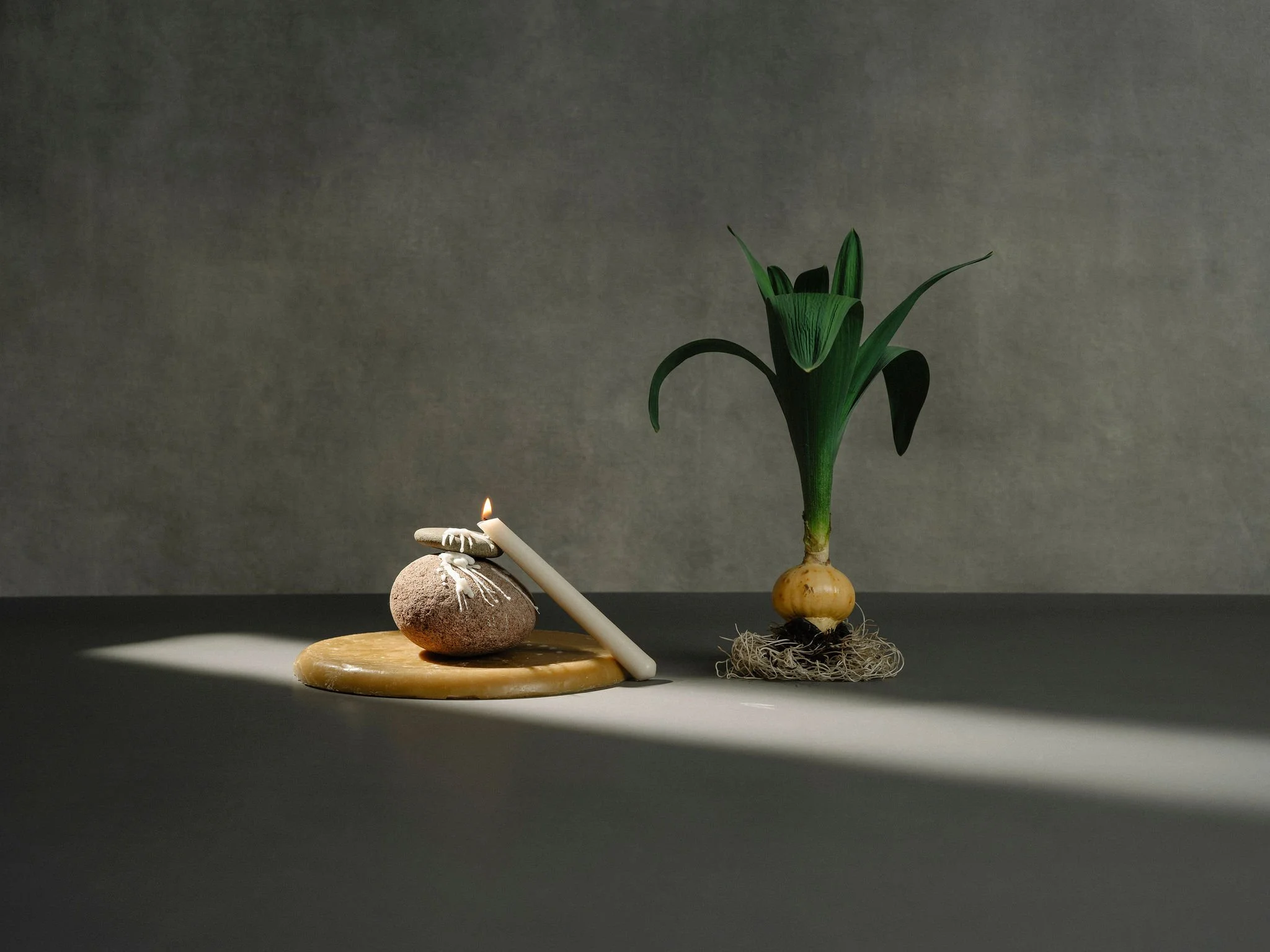 Styled brand shoot photograph London